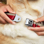 Dog Bone Seatbelt Buckle Collar - Texas Flag CLOSE-UP Distressed Painting