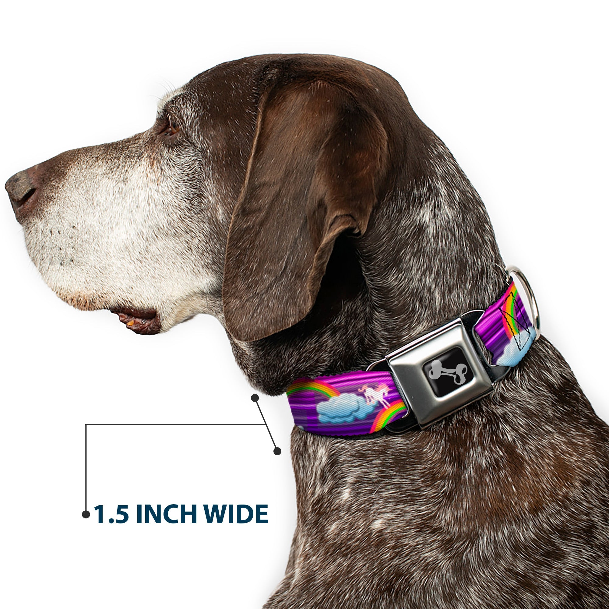 Dog Bone Seatbelt Buckle Collar - Unicorns/Rainbows w/Stripes Purple