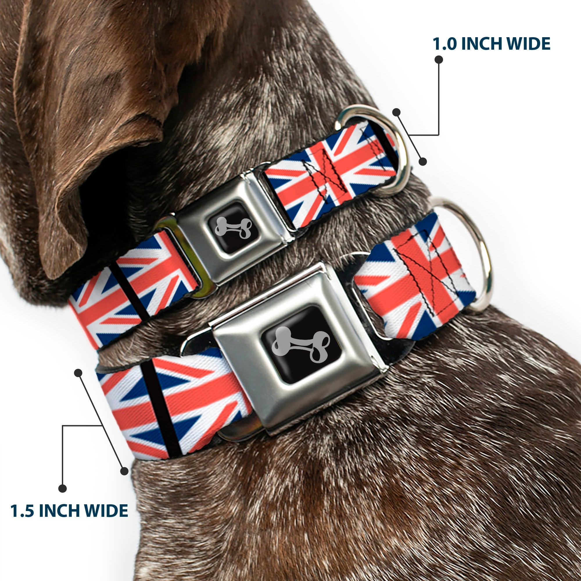 Dog Bone Seatbelt Buckle Collar - United Kingdom Flags