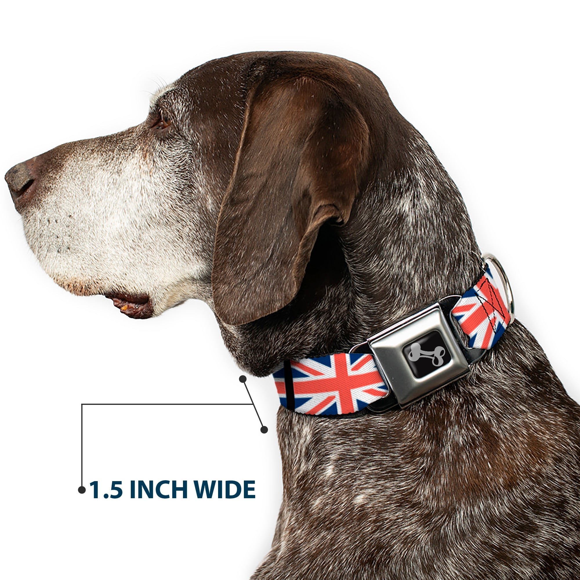 Dog Bone Seatbelt Buckle Collar - United Kingdom Flags