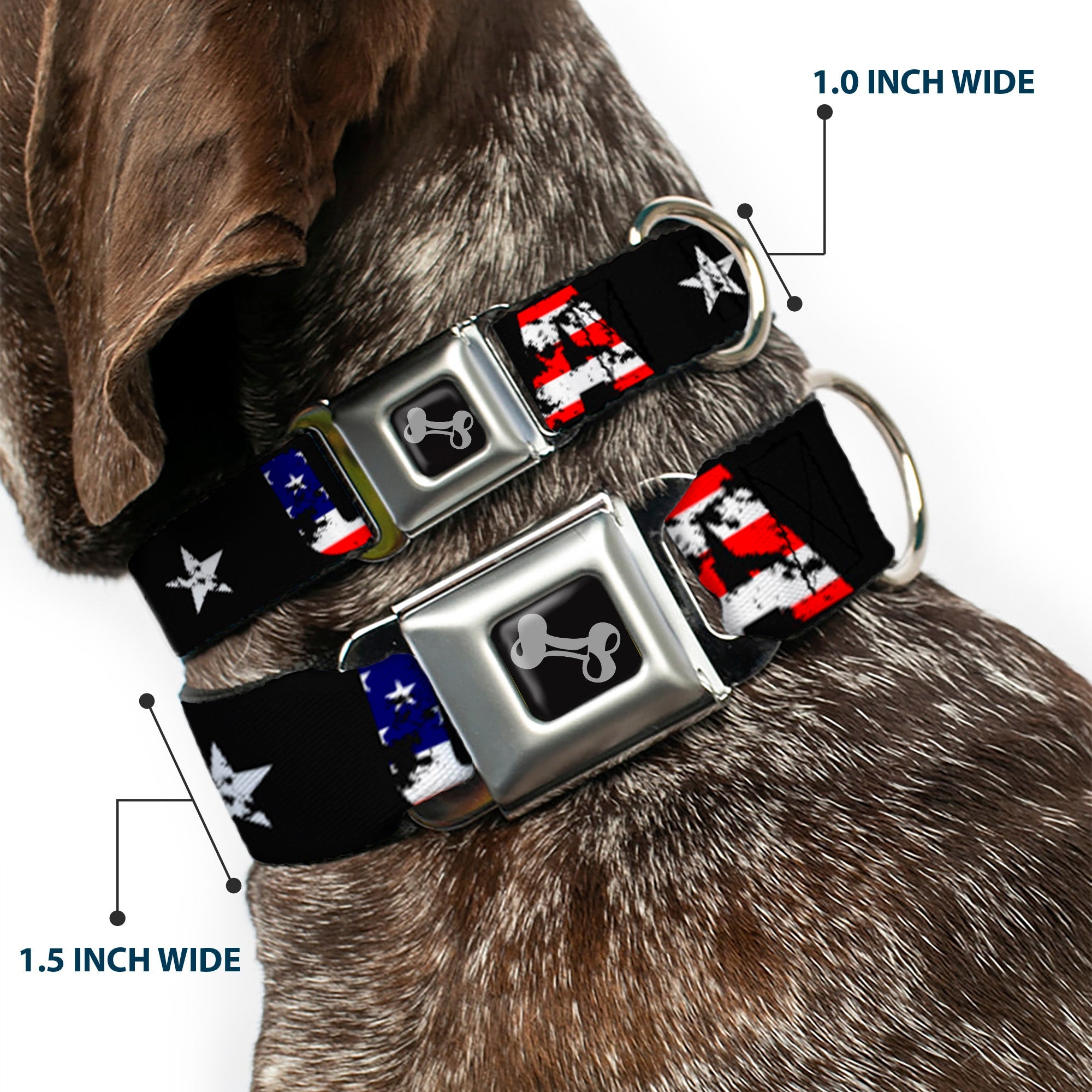 Dog Bone Seatbelt Buckle Collar - USA w/Star Black/US Flags