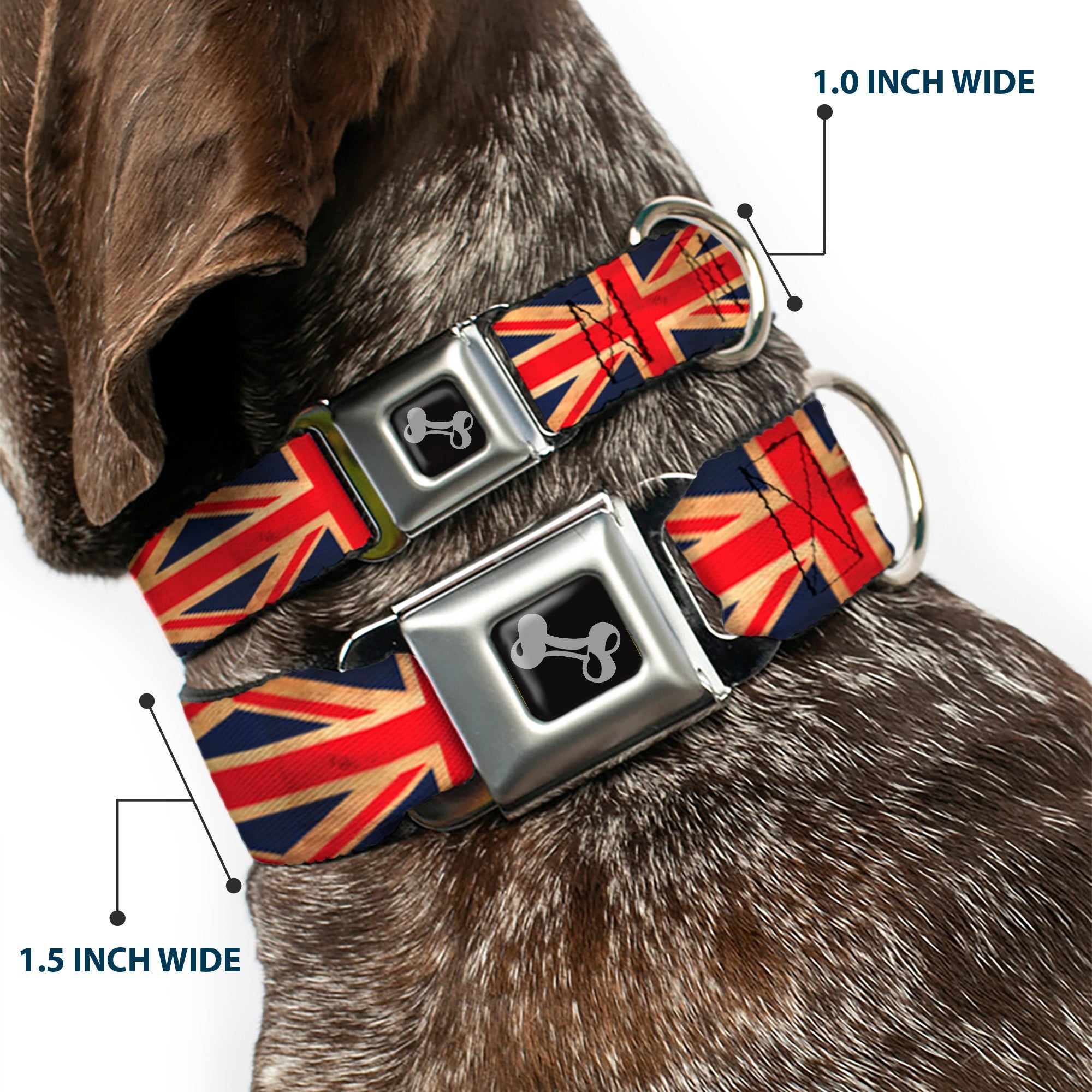 Dog Bone Black/Silver Seatbelt Buckle Collar - United Kingdom Flag Continuous Vintage