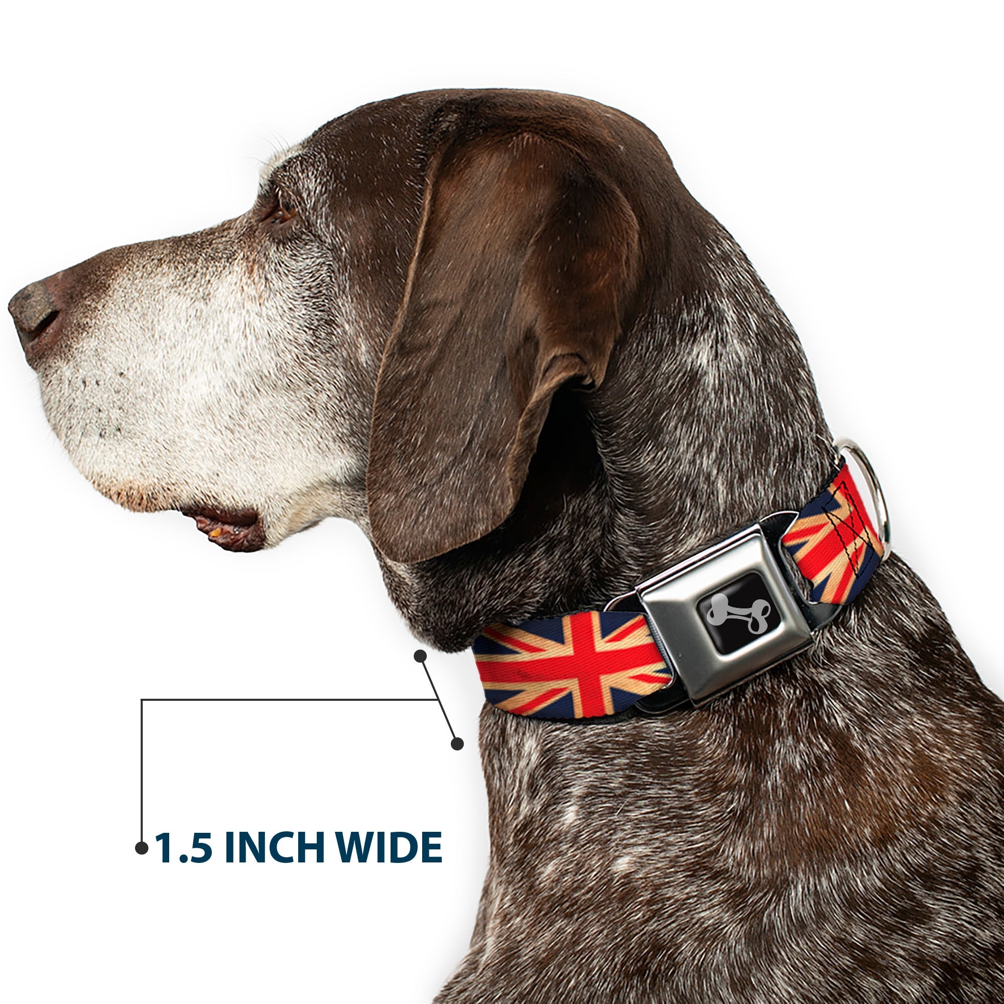Dog Bone Black/Silver Seatbelt Buckle Collar - United Kingdom Flag Continuous Vintage