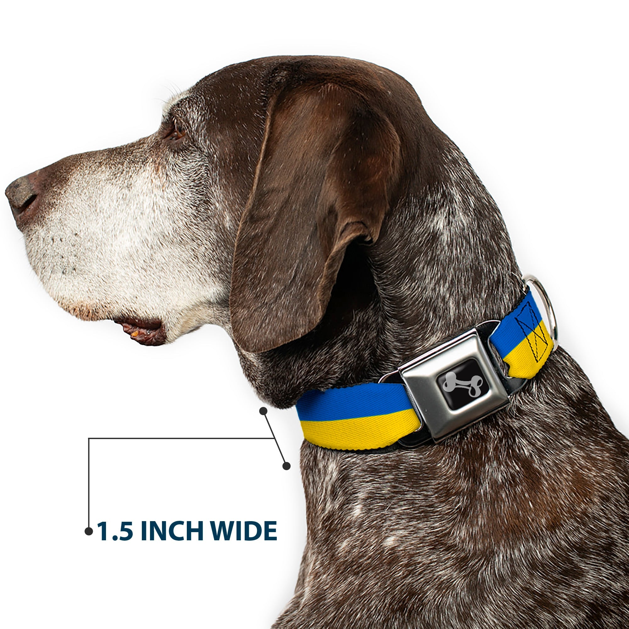 Dog Bone Black/Silver Seatbelt Buckle Collar - Ukraine Flag Continuous