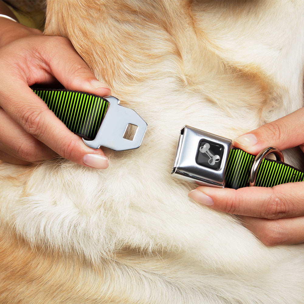 Dog Bone Seatbelt Buckle Collar - Vertical Stripes Transition Black/Yellow