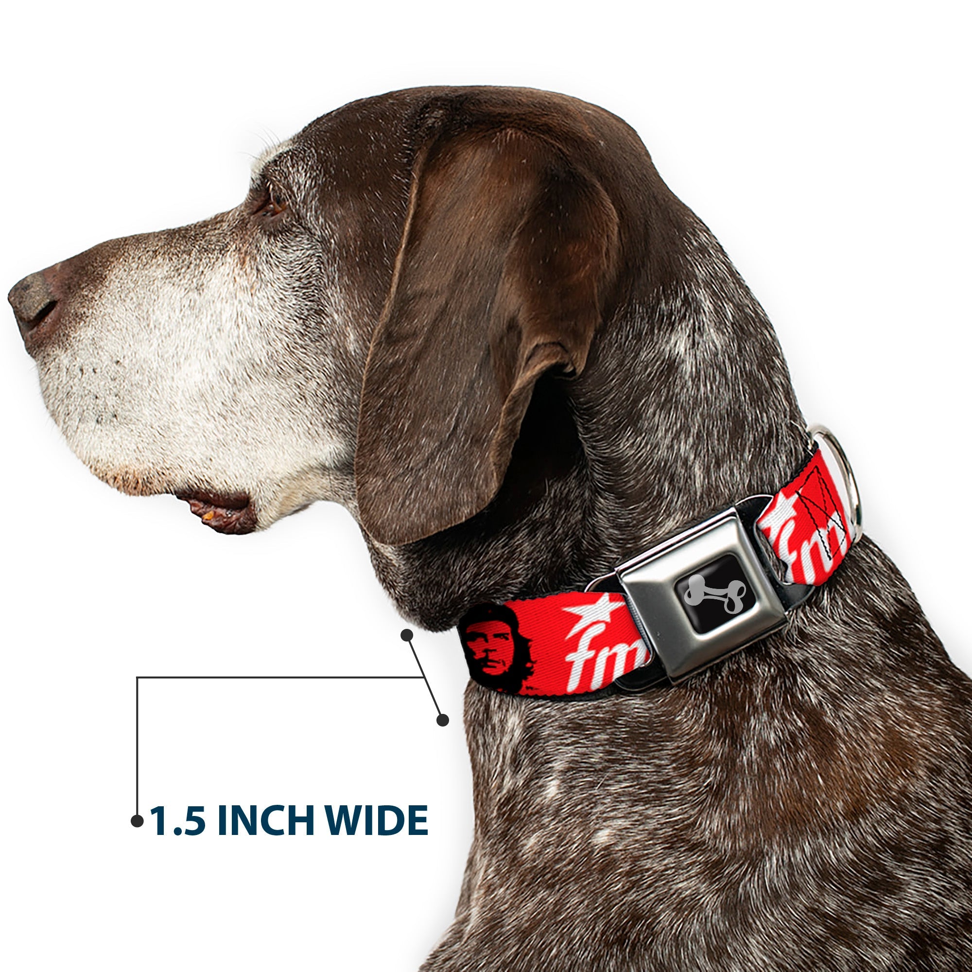 Dog Bone Seatbelt Buckle Collar - VIVA LA REVOLUCION Che w/fmln Red