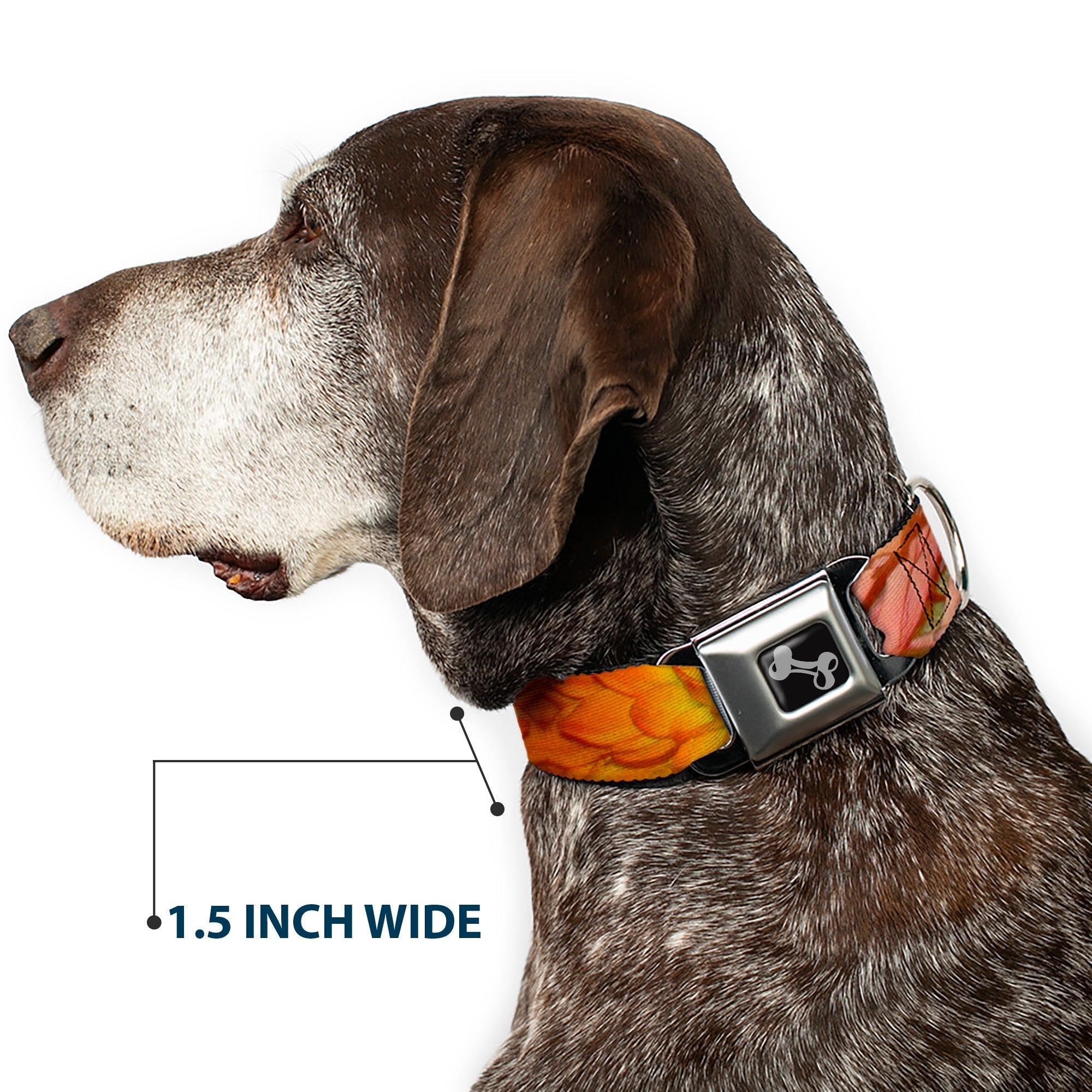 Dog Bone Seatbelt Buckle Collar - Vivid Floral Collage Orange-Pinks