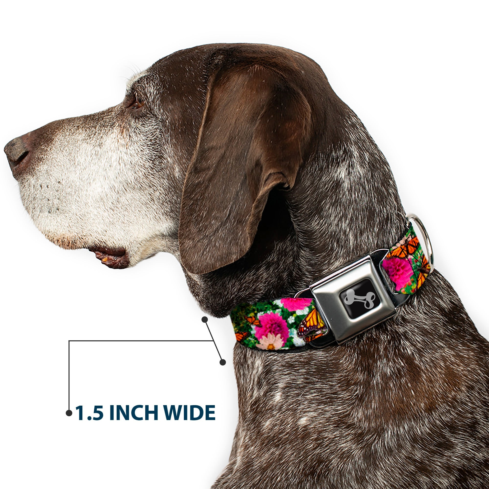 Dog Bone Seatbelt Buckle Collar - Vivid Monarch Butterfly Garden