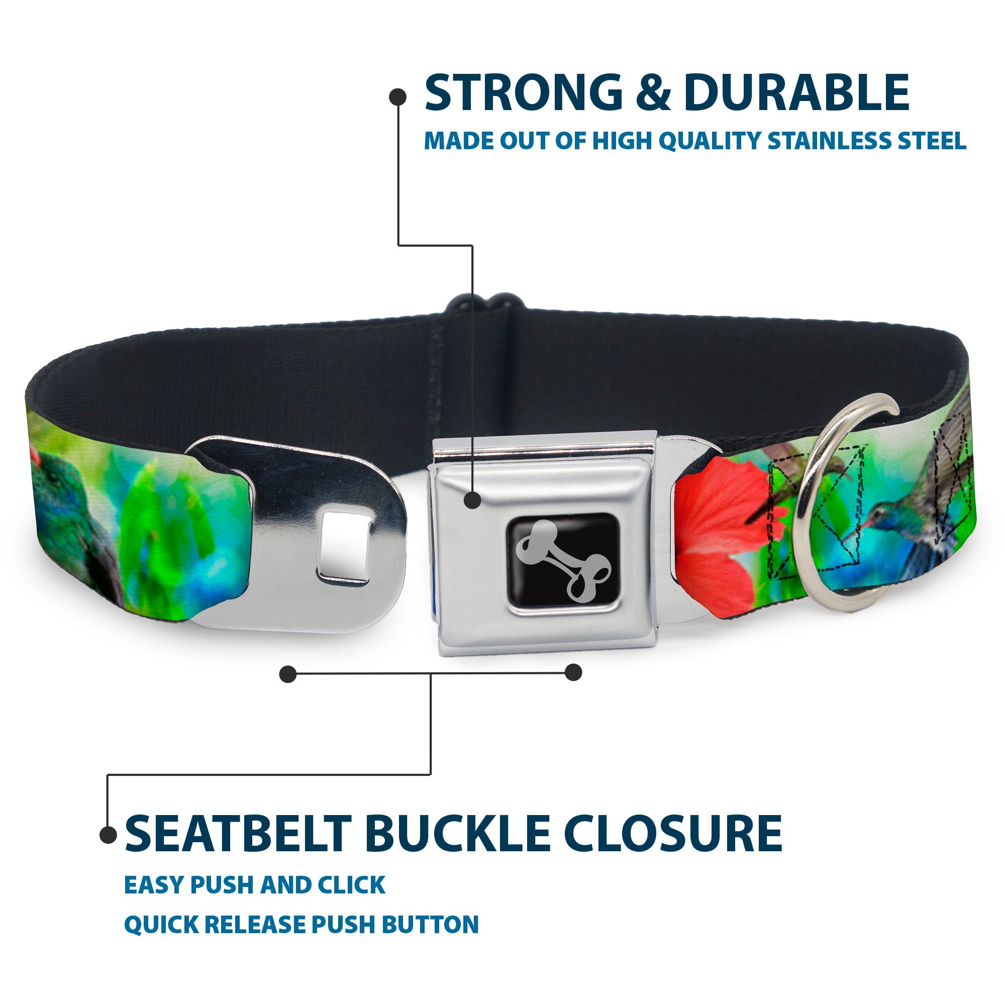 Dog Bone Seatbelt Buckle Collar - Vivid Hummingbird Garden