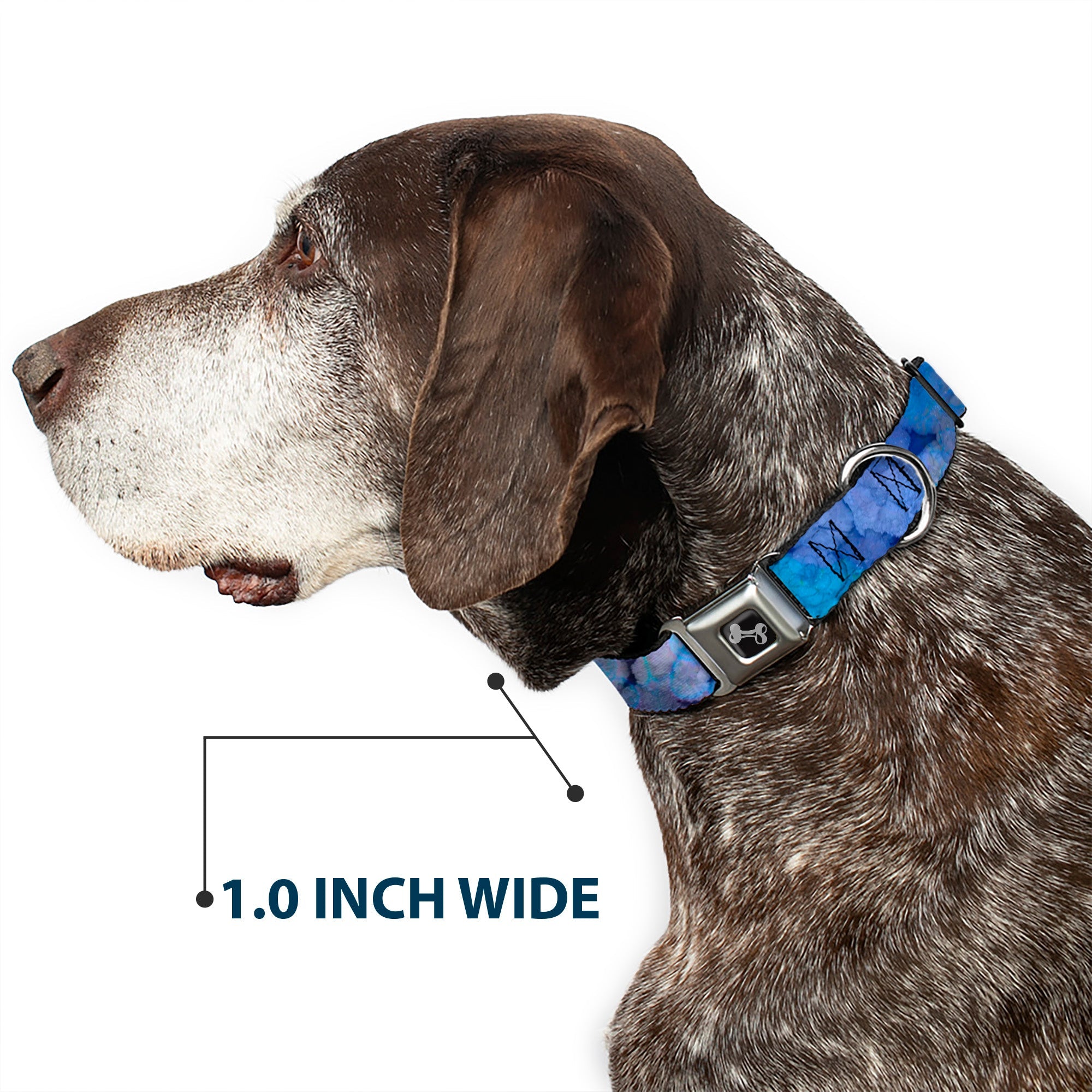 Dog Bone Seatbelt Buckle Collar - Vivid Floral Collage3 Blues/Purples