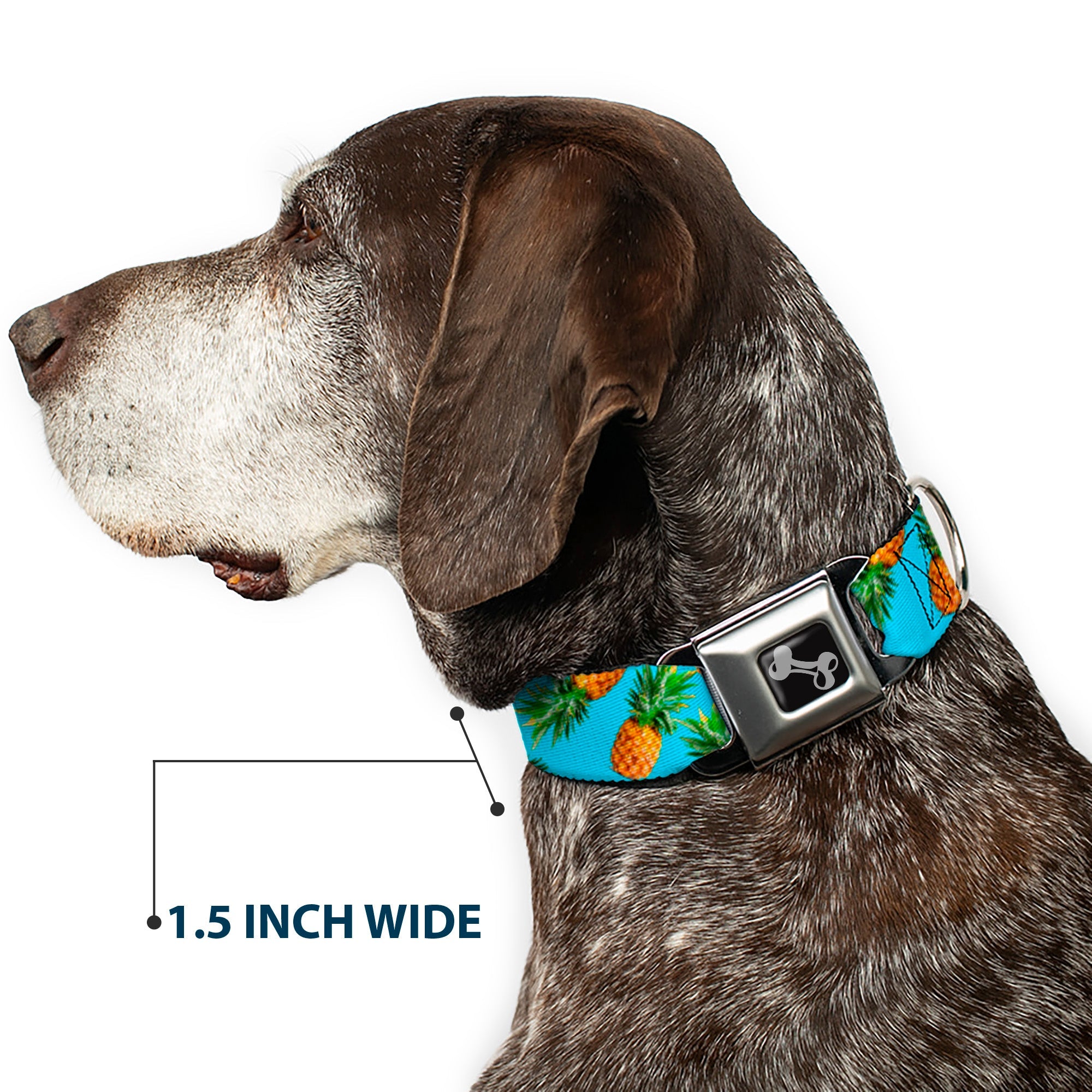 Dog Bone Seatbelt Buckle Collar - Vivid Pineapples Scattered Blue
