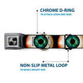 Load image into Gallery viewer, Dog Bone Seatbelt Buckle Collar - Vivid Blue Eyeball Black
