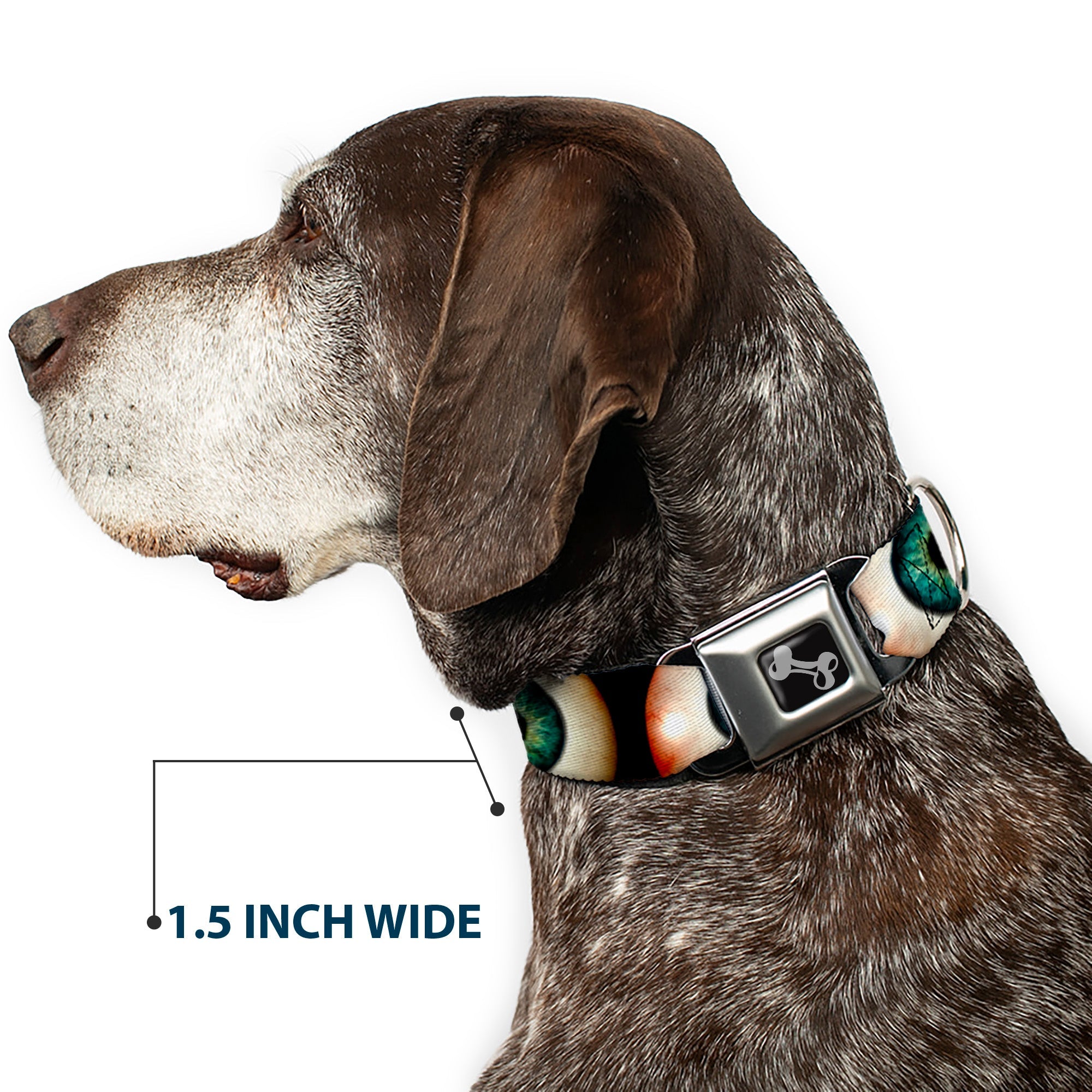 Dog Bone Seatbelt Buckle Collar - Vivid Blue Eyeball Black