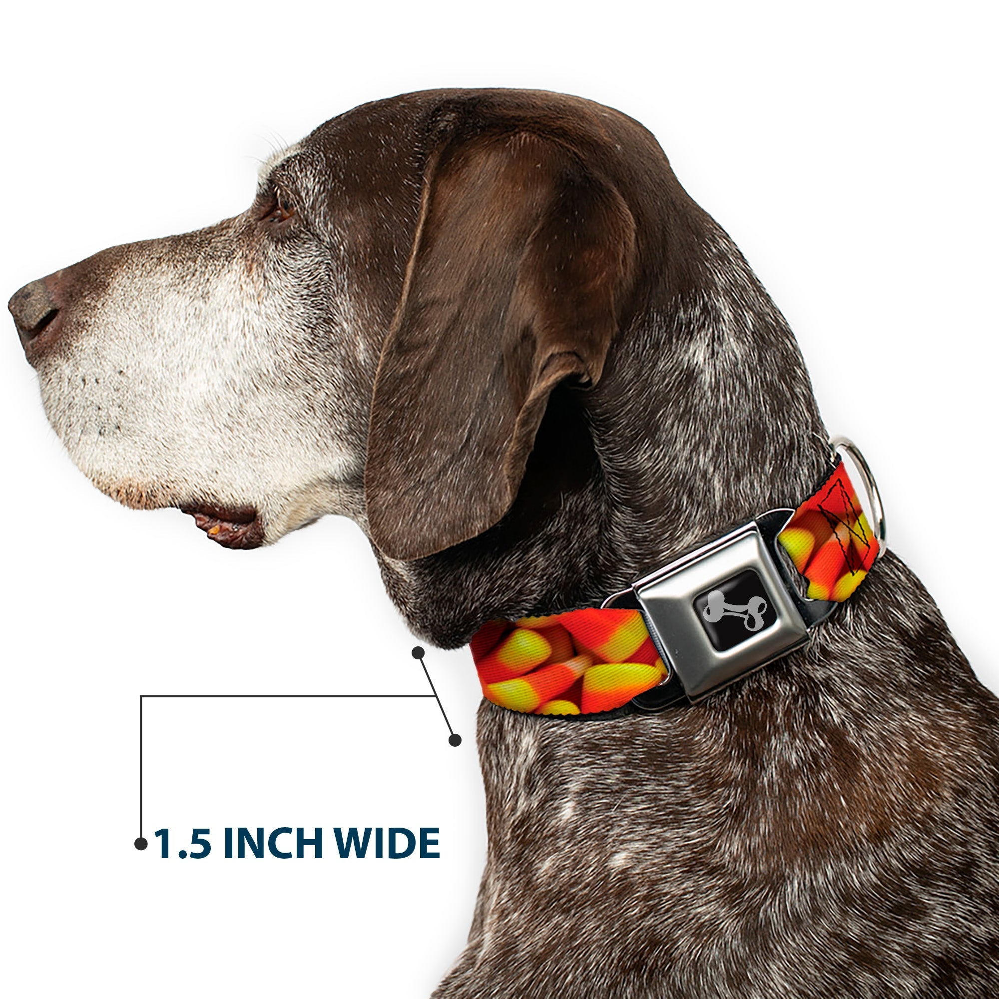 Dog Bone Black/Silver Seatbelt Buckle Collar - Vivid Candy Corn Stacked