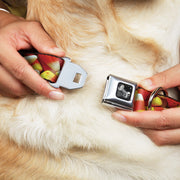 Dog Bone Black/Silver Seatbelt Buckle Collar - Vivid Candy Corn Stacked