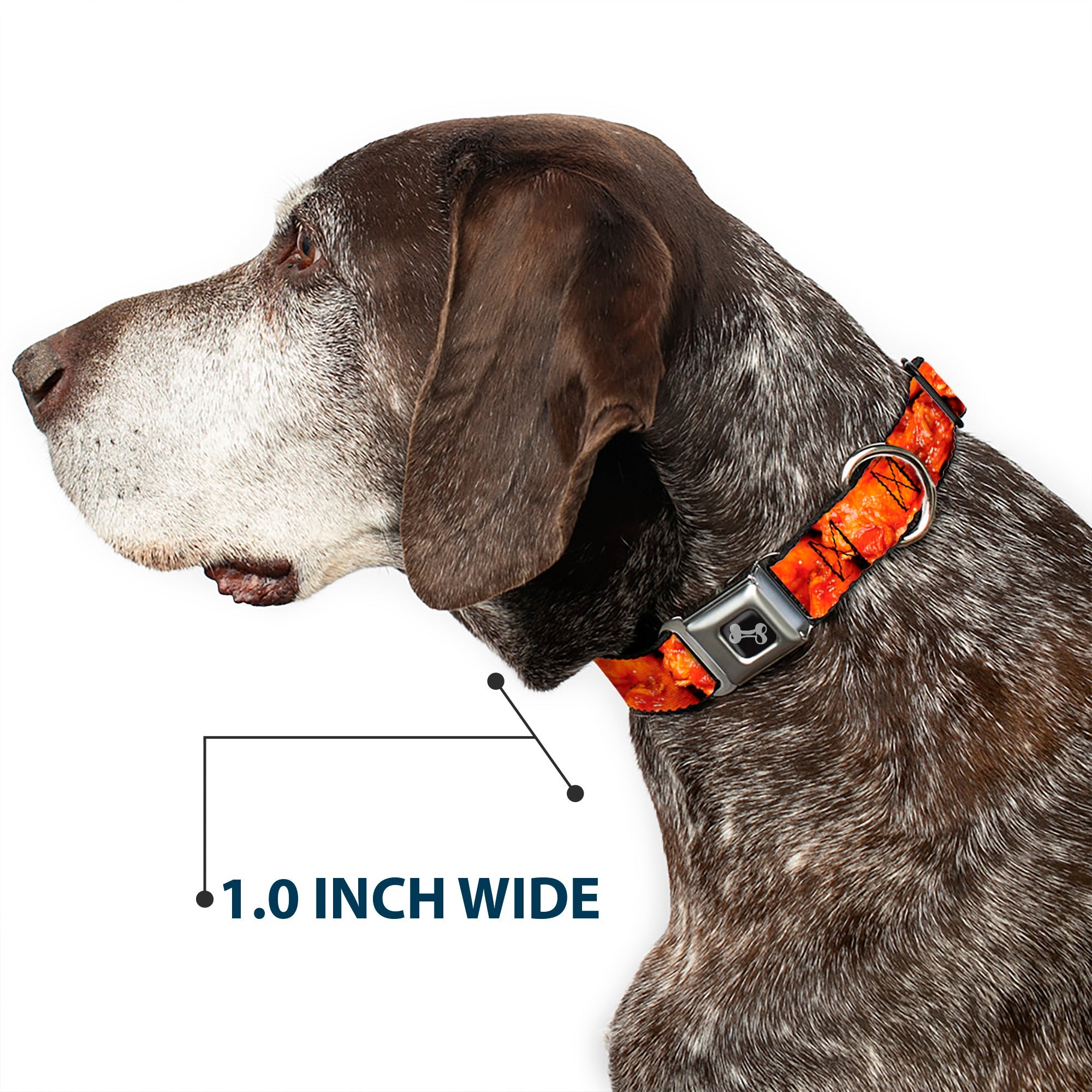Dog Bone Black/Silver Seatbelt Buckle Collar - Vivid Hot Wings Stacked