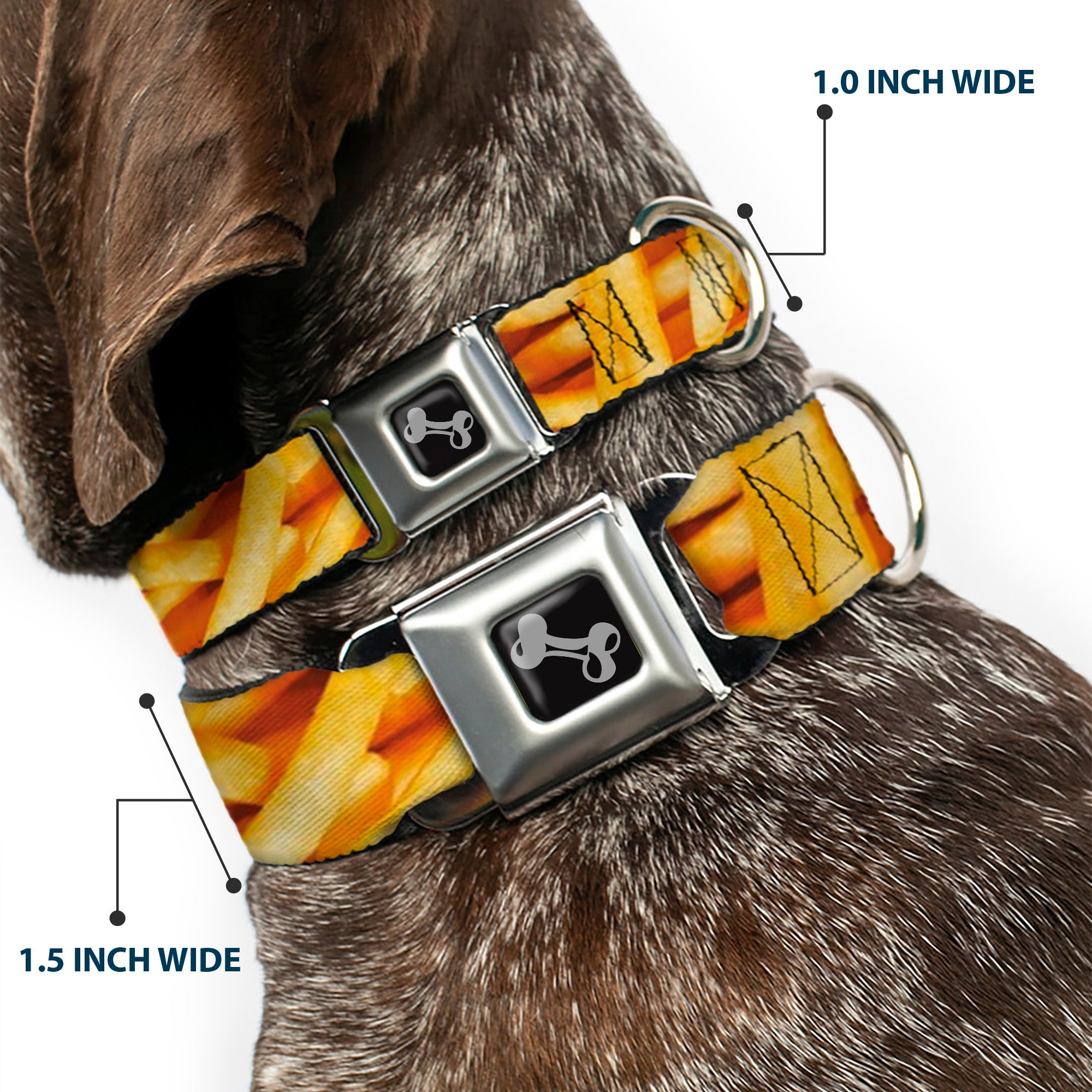 Dog Bone Black/Silver Seatbelt Buckle Collar - Vivid French Fries Stacked