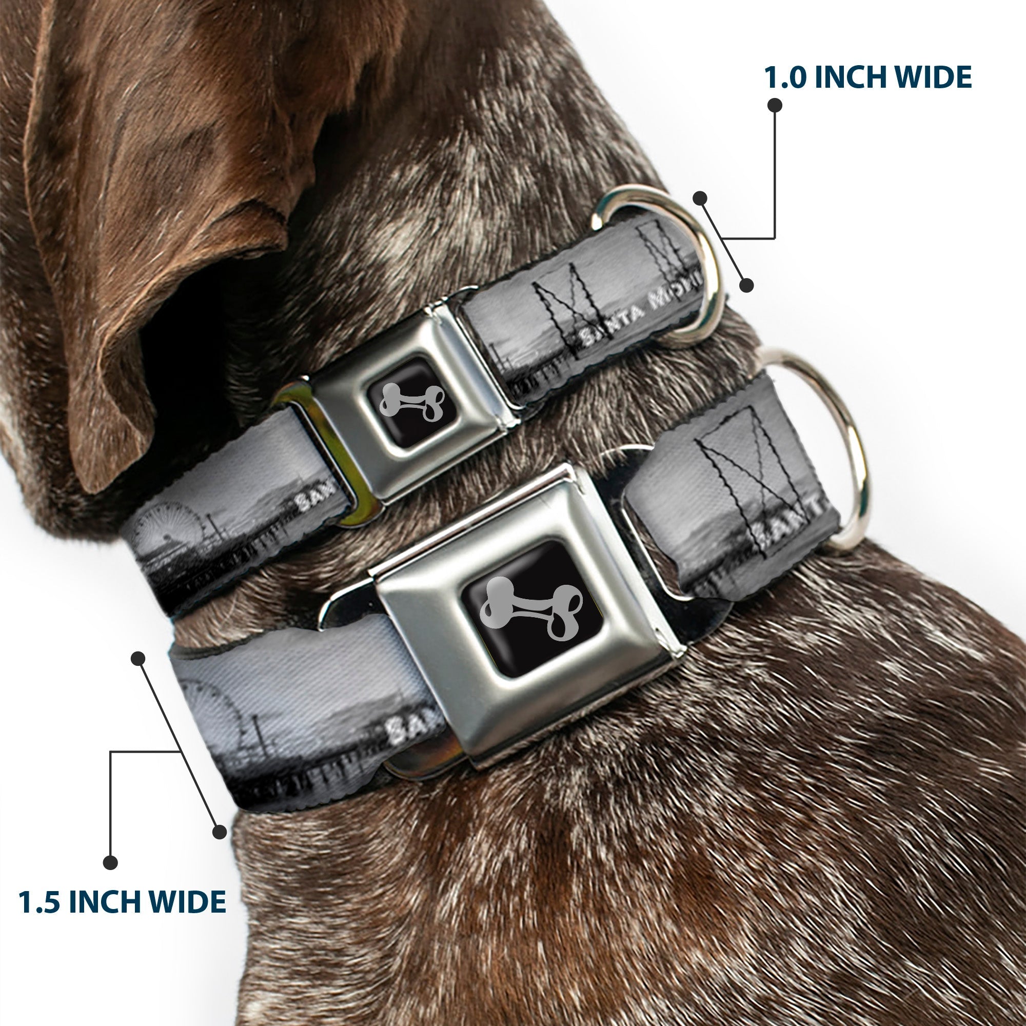 Dog Bone Seatbelt Buckle Collar - Vivid SANTA MONICA Pier Skyline Grays/White