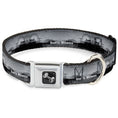 Load image into Gallery viewer, Dog Bone Seatbelt Buckle Collar - Vivid SANTA MONICA Pier Skyline Grays/White
