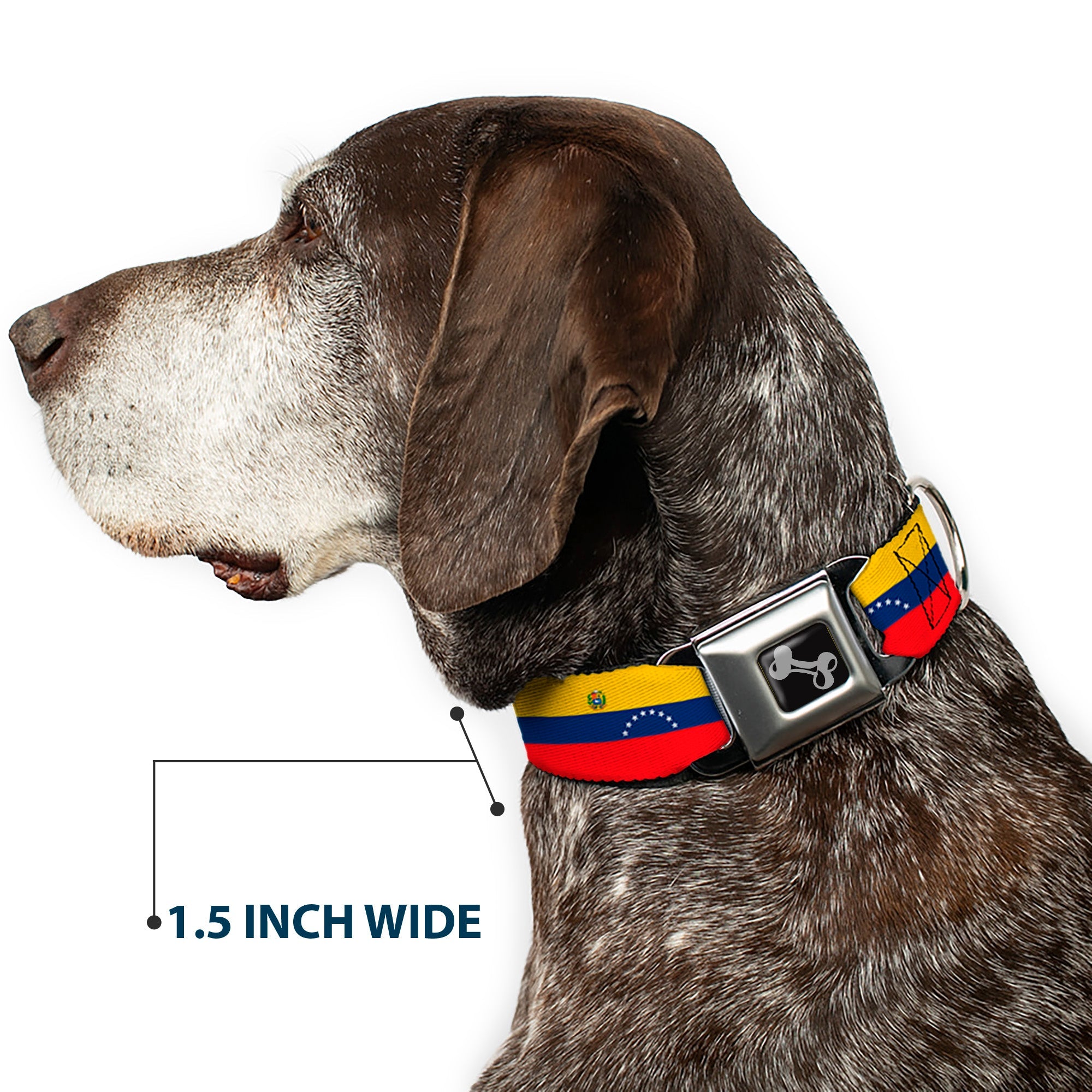Dog Bone Black/Silver Seatbelt Buckle Collar - Venezuela Flag Continious Repeat