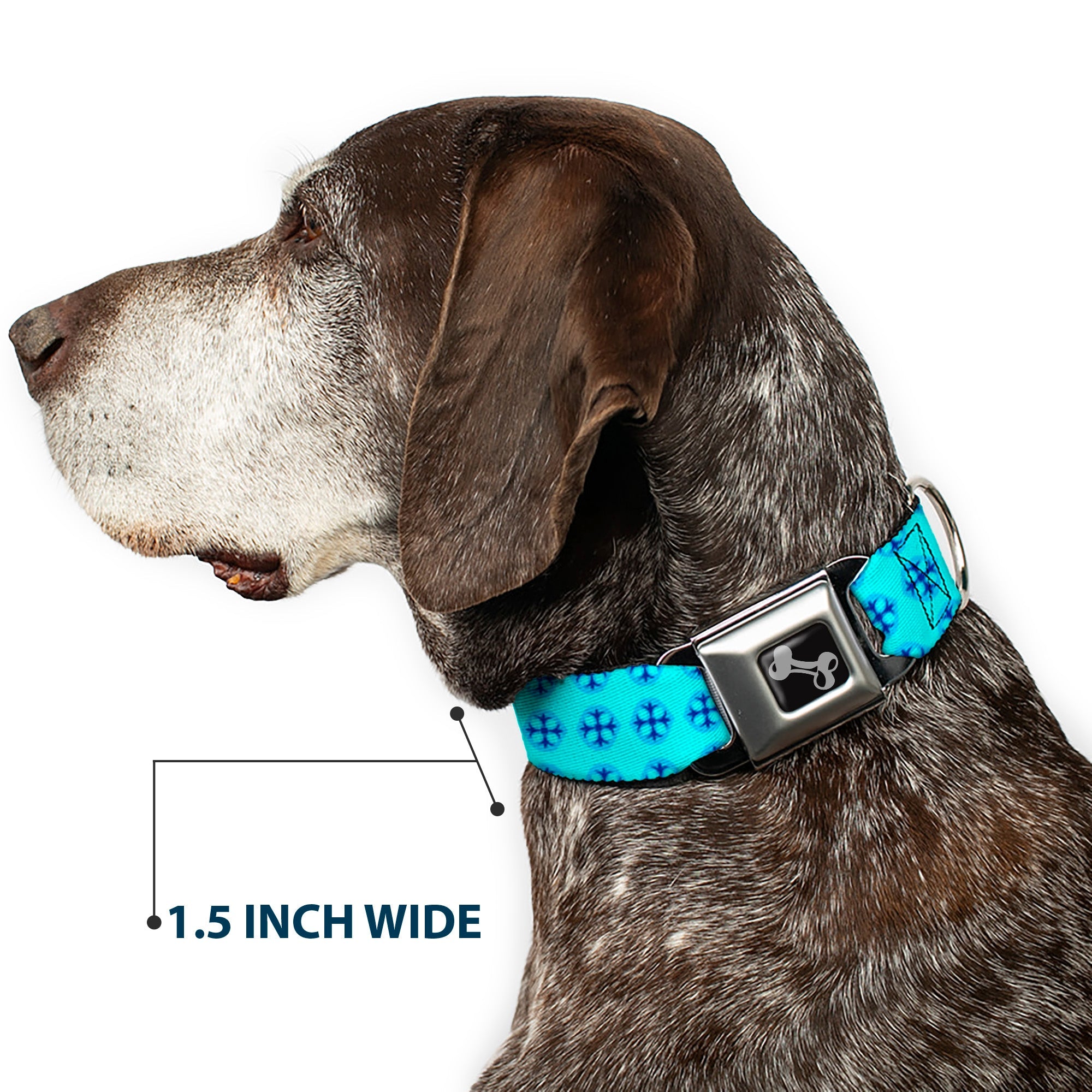 Dog Bone Seatbelt Buckle Collar - Wallpaper2 Baby Blue/Blue