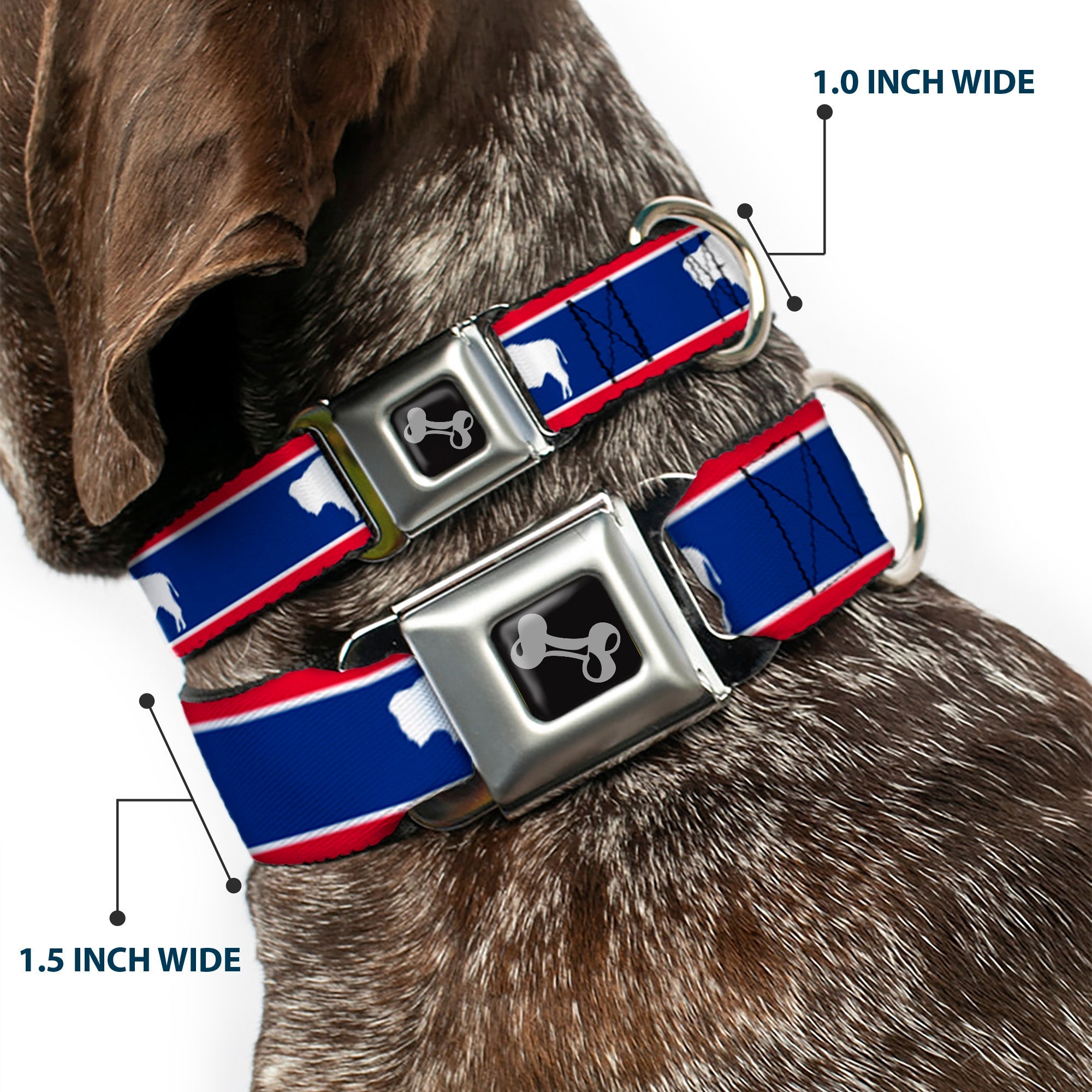 Dog Bone Seatbelt Buckle Collar - Wyoming Flags Bison Silhouette