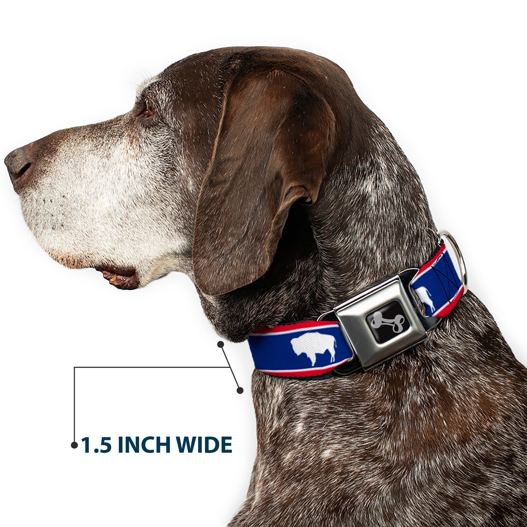 Dog Bone Seatbelt Buckle Collar - Wyoming Flags Bison Silhouette