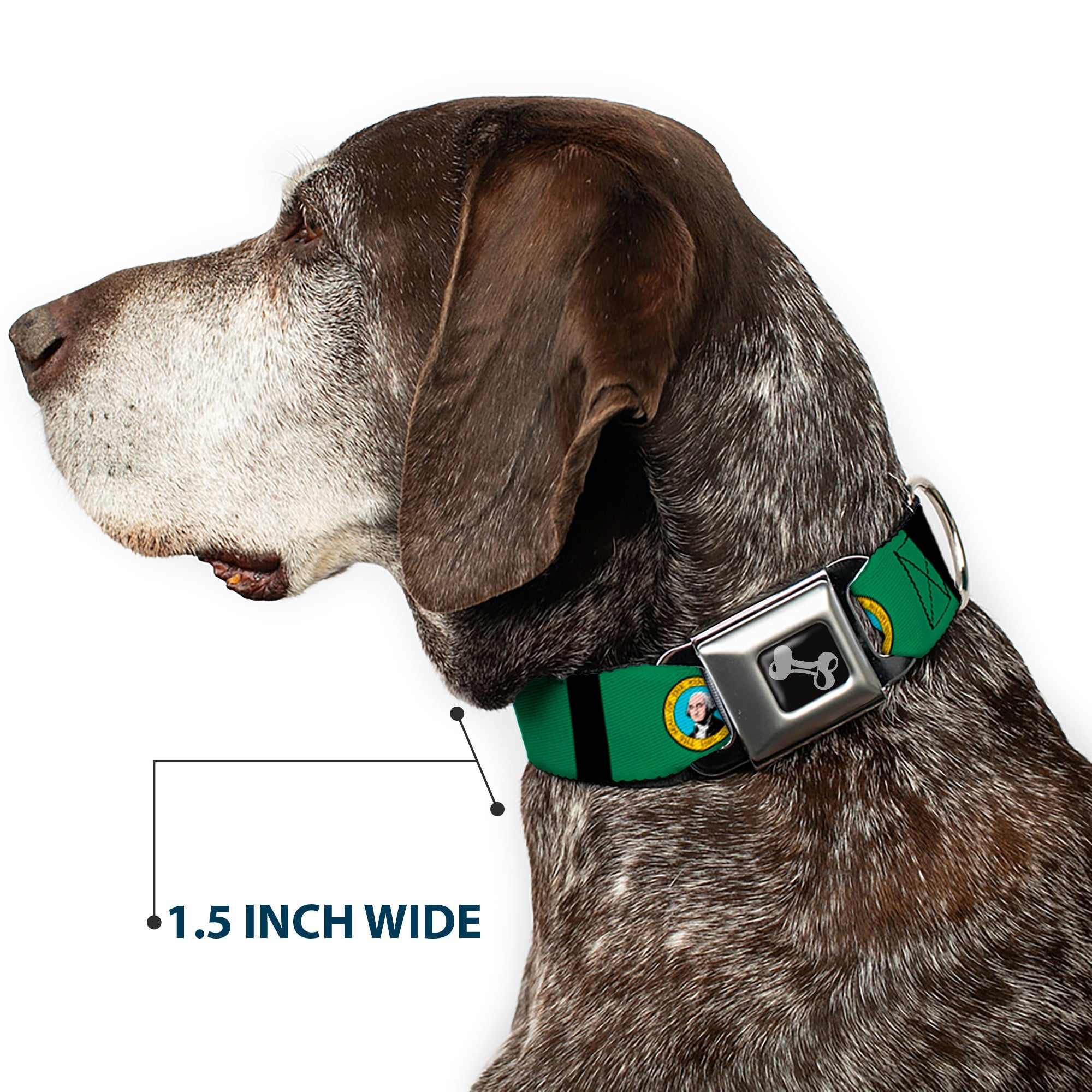 Dog Bone Seatbelt Buckle Collar - Washington Flags/Black