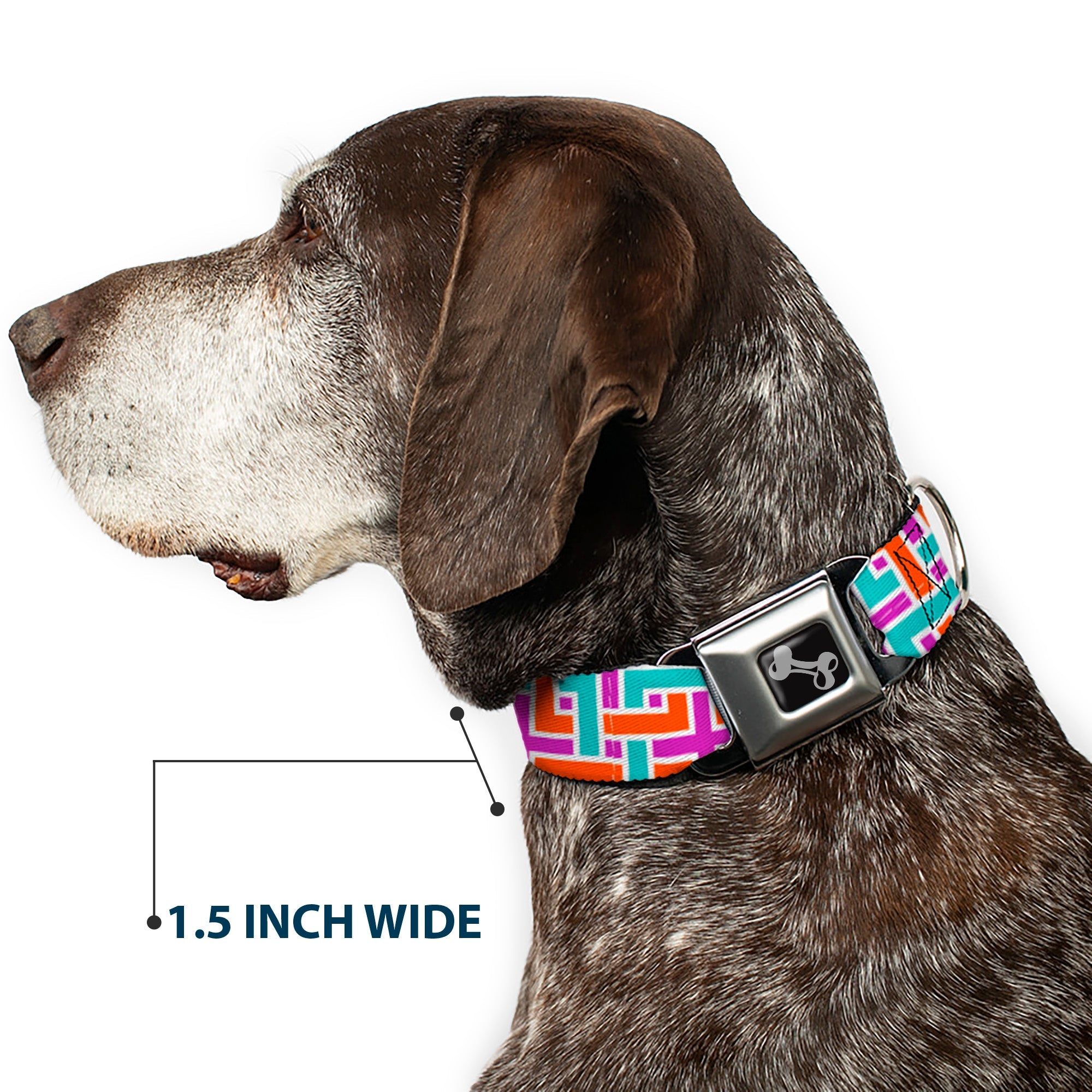 Dog Bone Black/Silver Seatbelt Buckle Collar - Weave CLOSE-UP White/Pink/Orange/Aqua