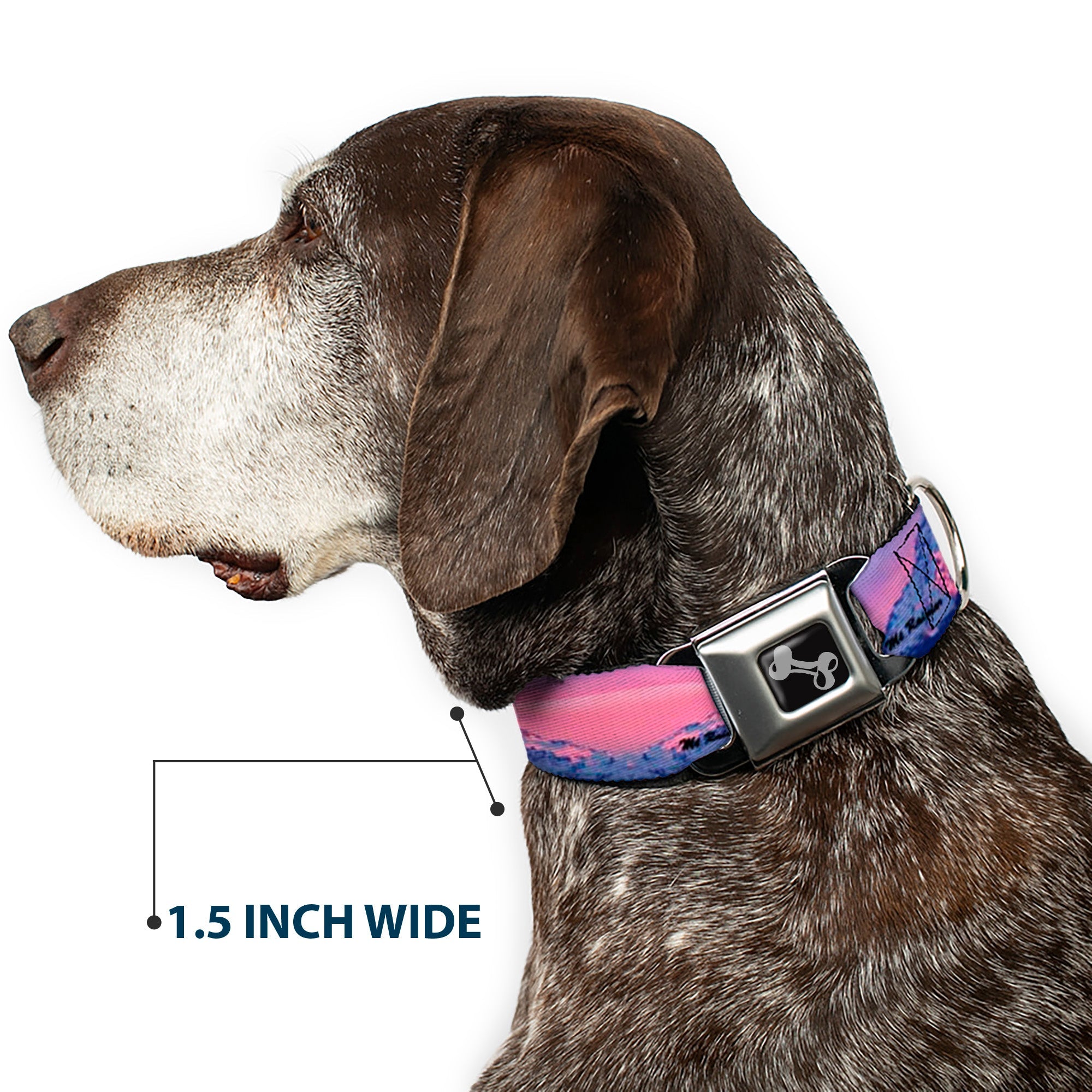 Dog Bone Seatbelt Buckle Collar - Washington MT. RAINIER Sunset Landscape