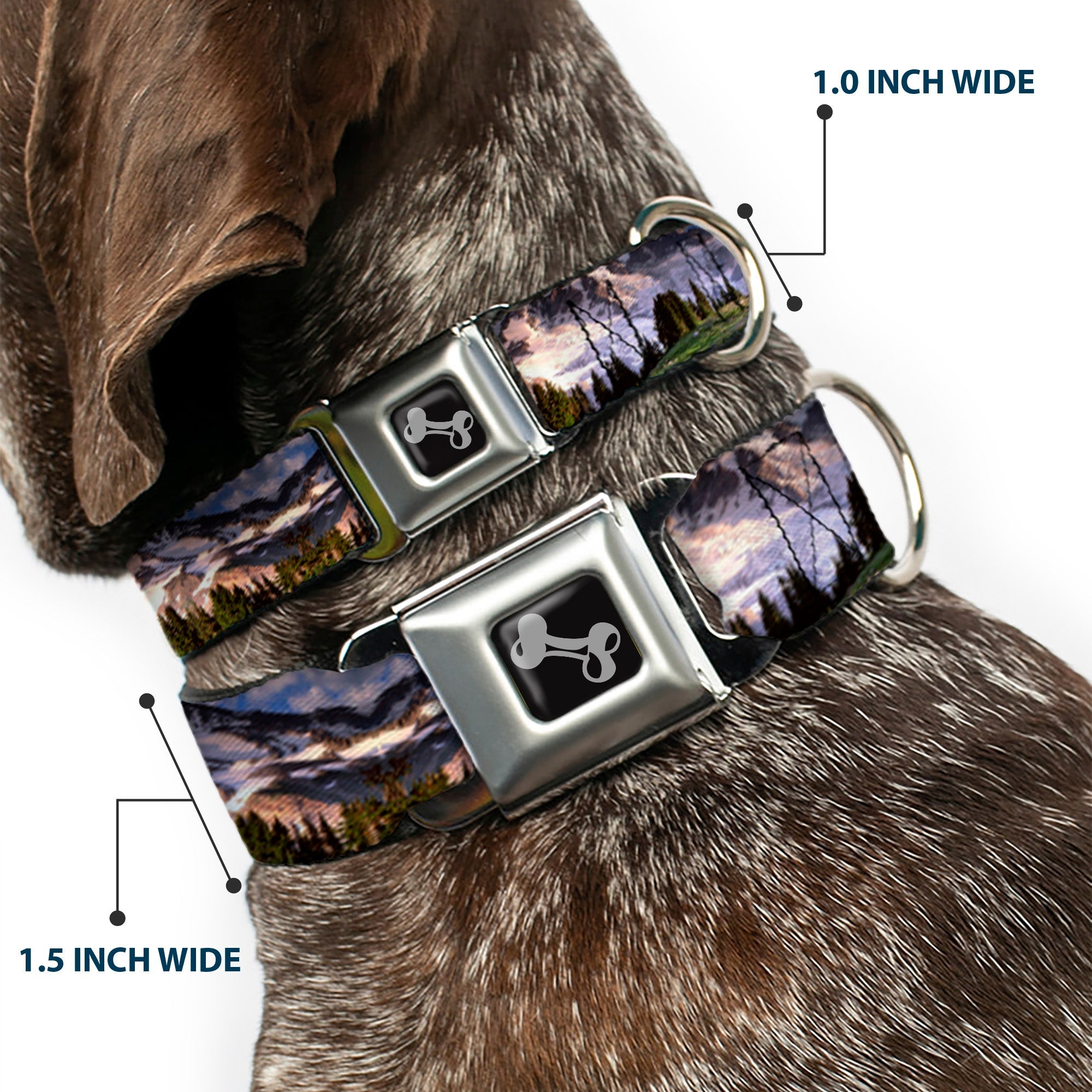Dog Bone Seatbelt Buckle Collar - Washington MT. RAINIER Valley Landscape