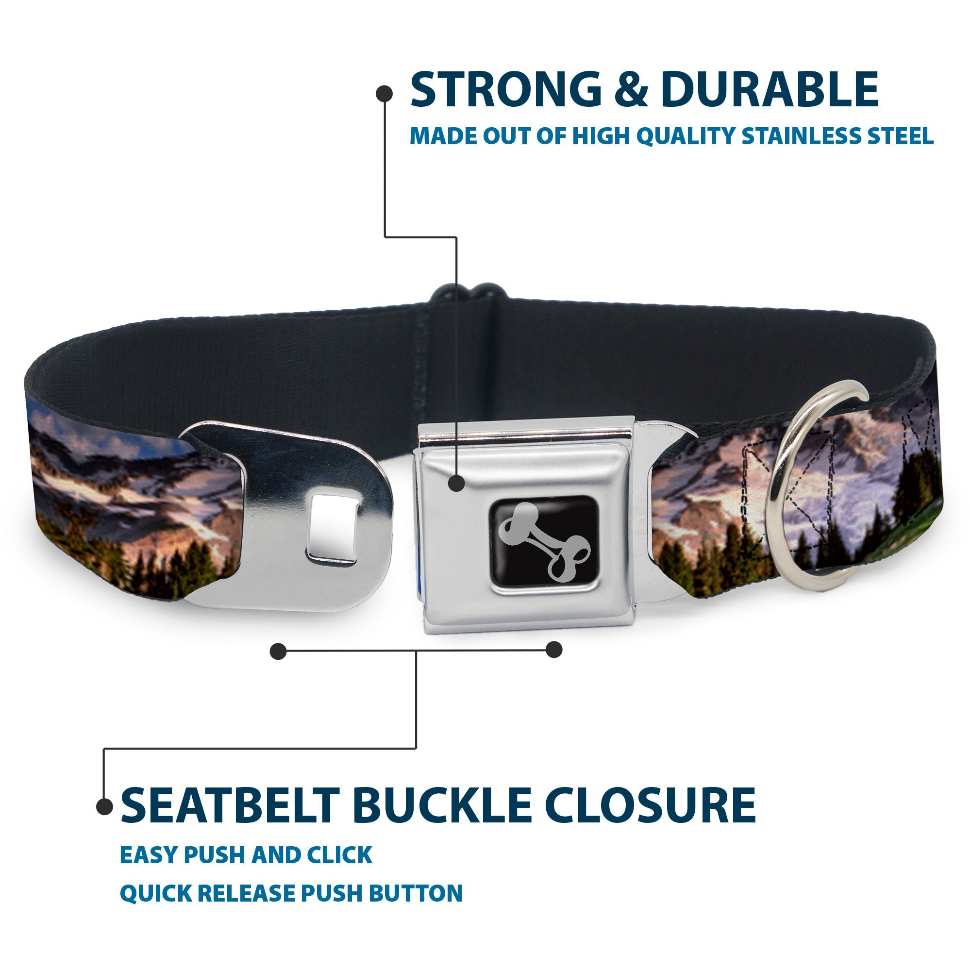 Dog Bone Seatbelt Buckle Collar - Washington MT. RAINIER Valley Landscape