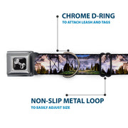 Dog Bone Seatbelt Buckle Collar - Washington MT. RAINIER Valley Landscape