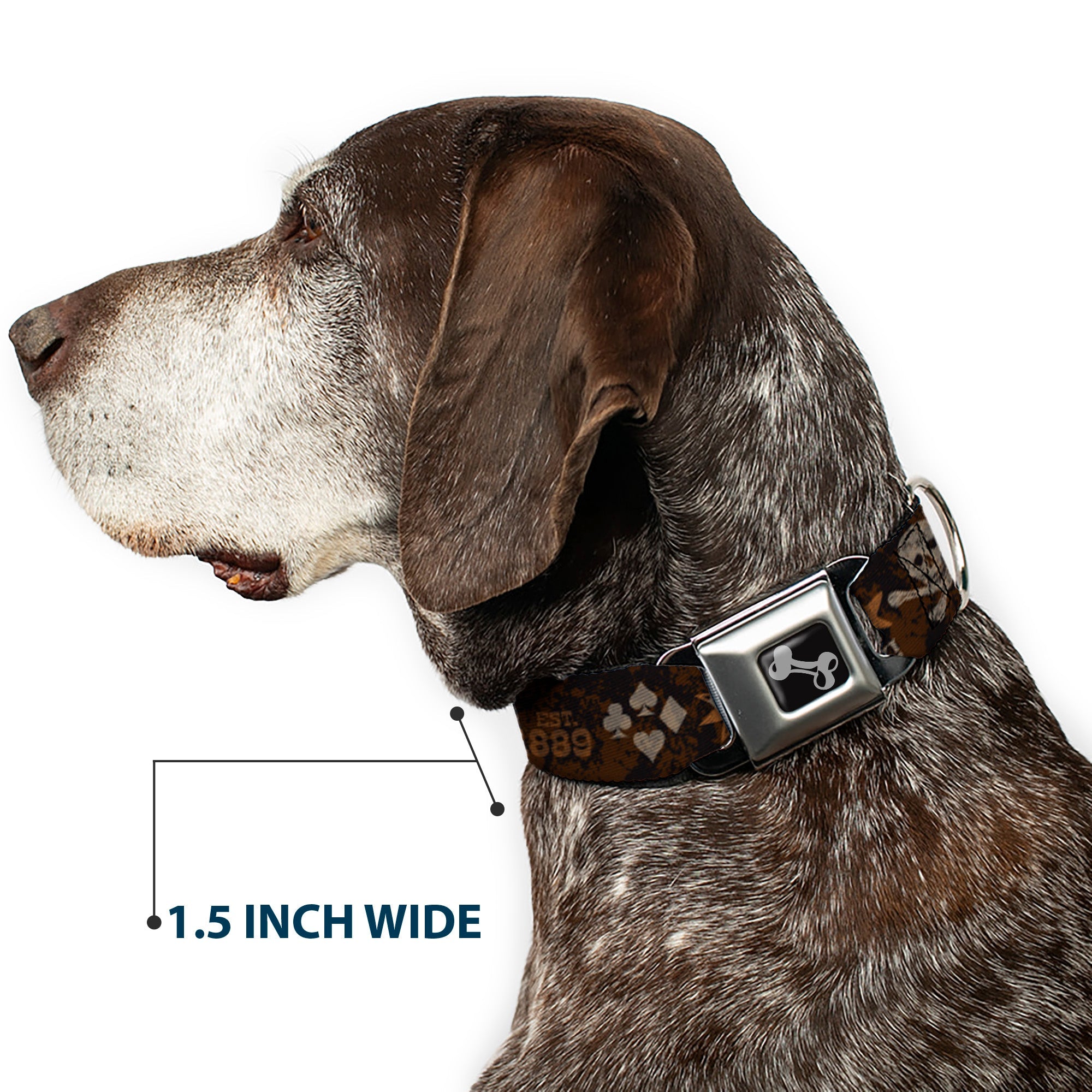 Dog Bone Black/Silver Seatbelt Buckle Collar - Western NO GUTS NO GLORY Skull and Crossbones Browns/Gray