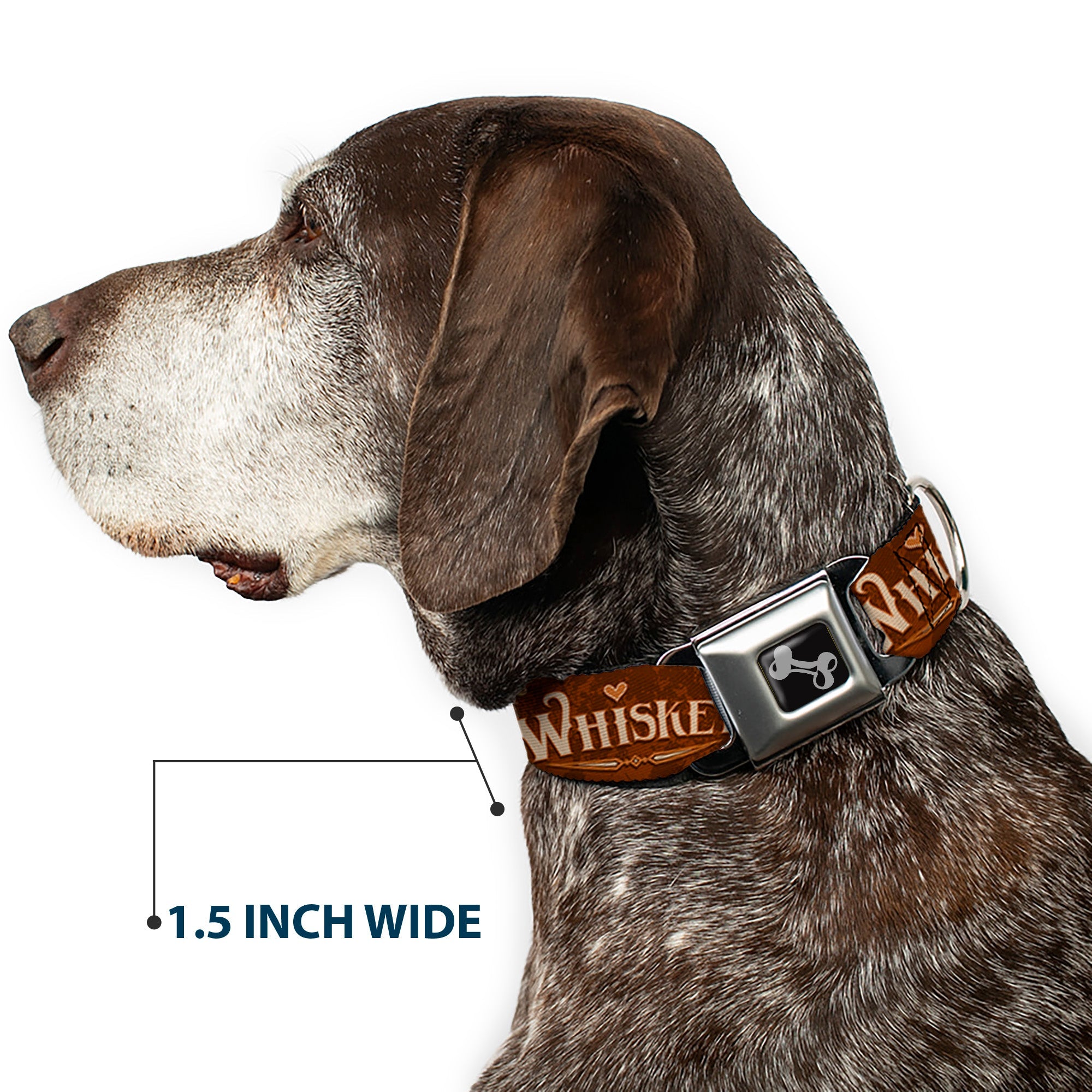 Dog Bone Black/Silver Seatbelt Buckle Collar - Western WHISKEY Heart Repeat Browns/Tan