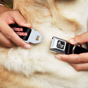 Dog Bone Seatbelt Buckle Collar - Bacon & Eggs Black