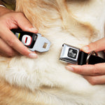 Dog Bone Seatbelt Buckle Collar - YOLO Black/Multi Color