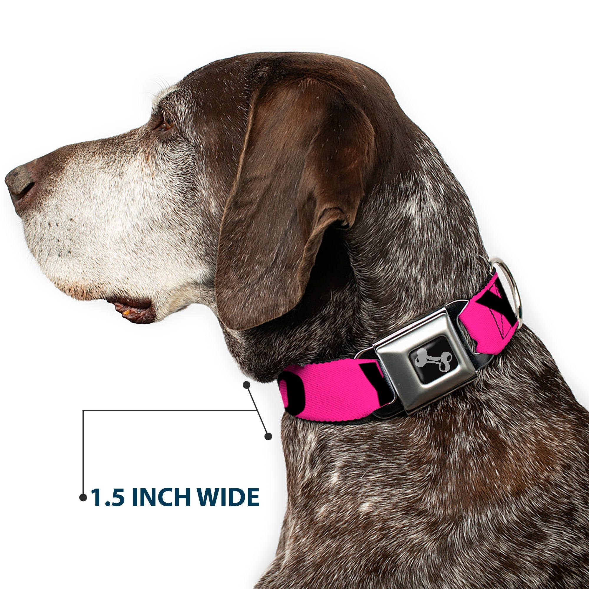 Dog Bone Seatbelt Buckle Collar - YOLO Pink/Black