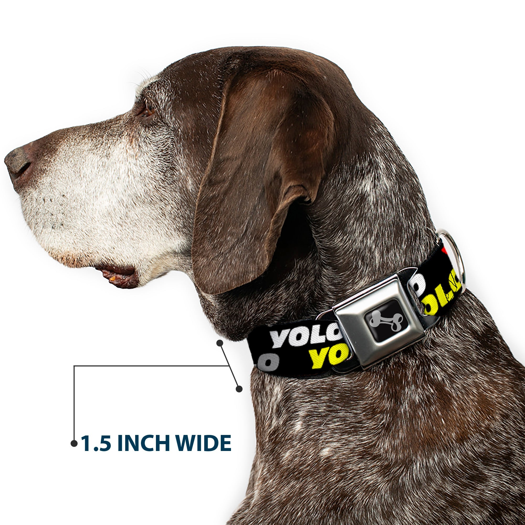 Dog Bone Seatbelt Buckle Collar - YOLO2 Black/Red/White/Gray/Yellow