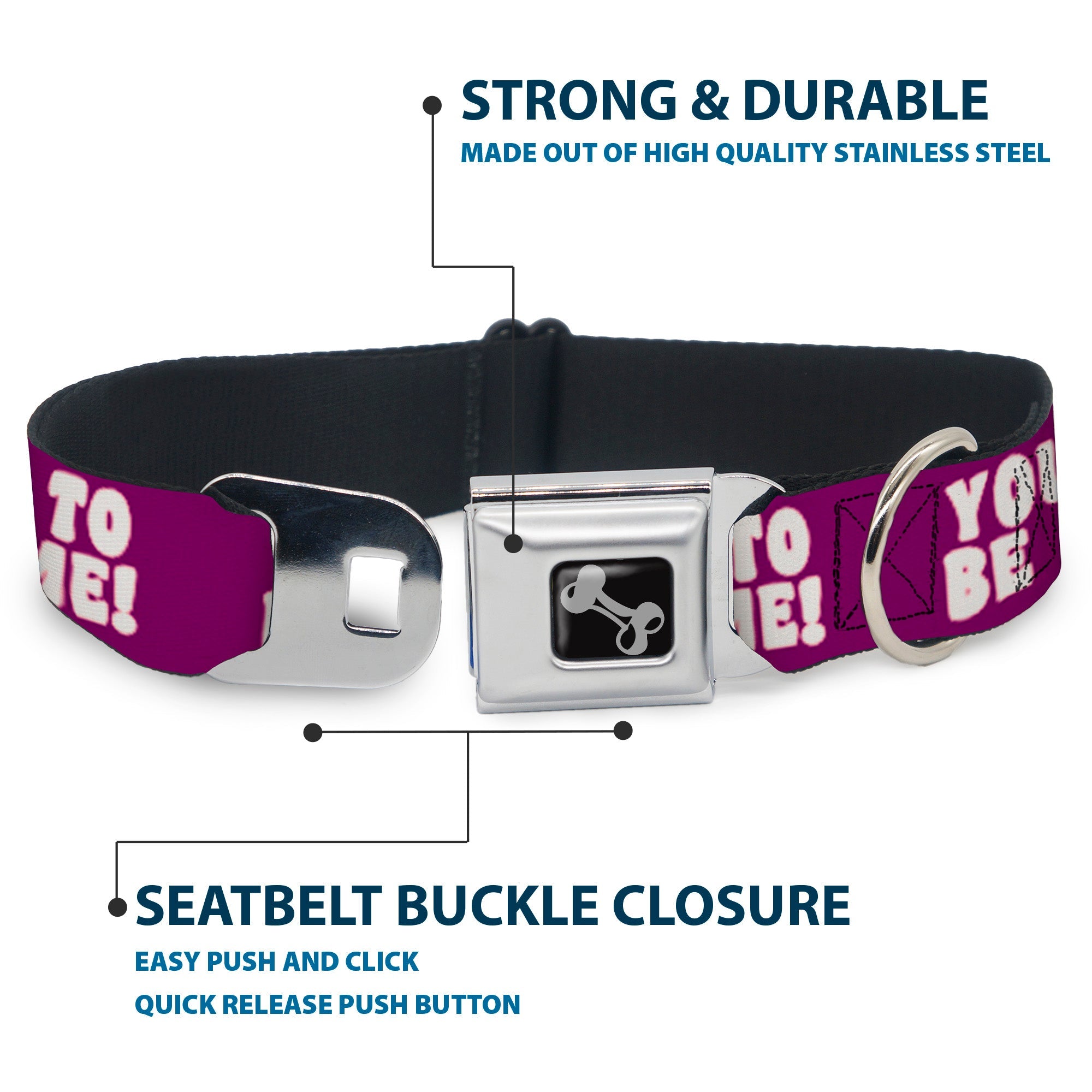 Dog Bone Seatbelt Buckle Collar - YOU'VE GOT TO BE KIDDING ME! Purple/White