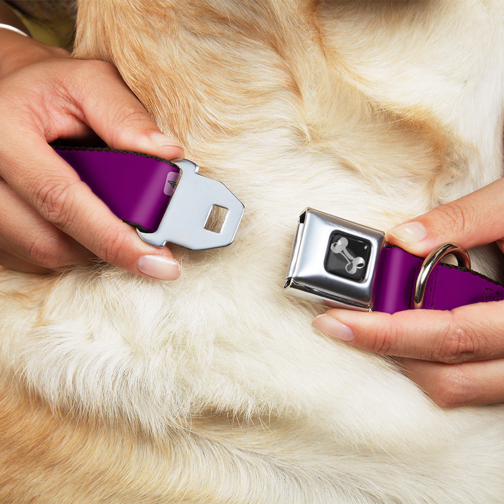 Dog Bone Seatbelt Buckle Collar - YOU'VE GOT TO BE KIDDING ME! Purple/White