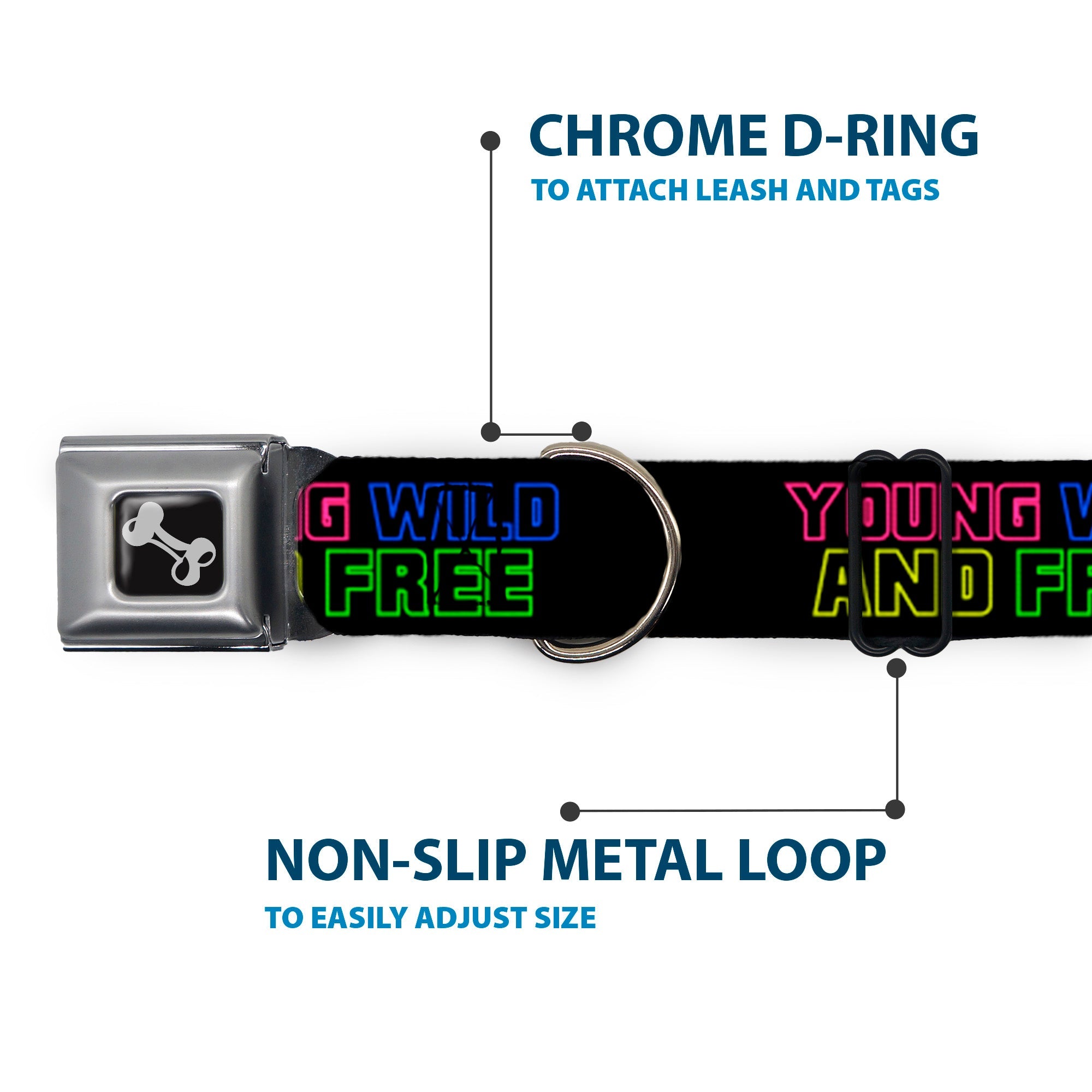 Dog Bone Seatbelt Buckle Collar - YOUNG WILD AND FREE Outline Black/Multi Neon