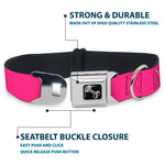 Dog Bone Seatbelt Buckle Collar - YOUNG WILD AND FREE Pink/White/Blue/Yellow/Green