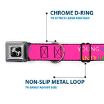Dog Bone Seatbelt Buckle Collar - YOUNG WILD AND FREE Pink/White/Blue/Yellow/Green