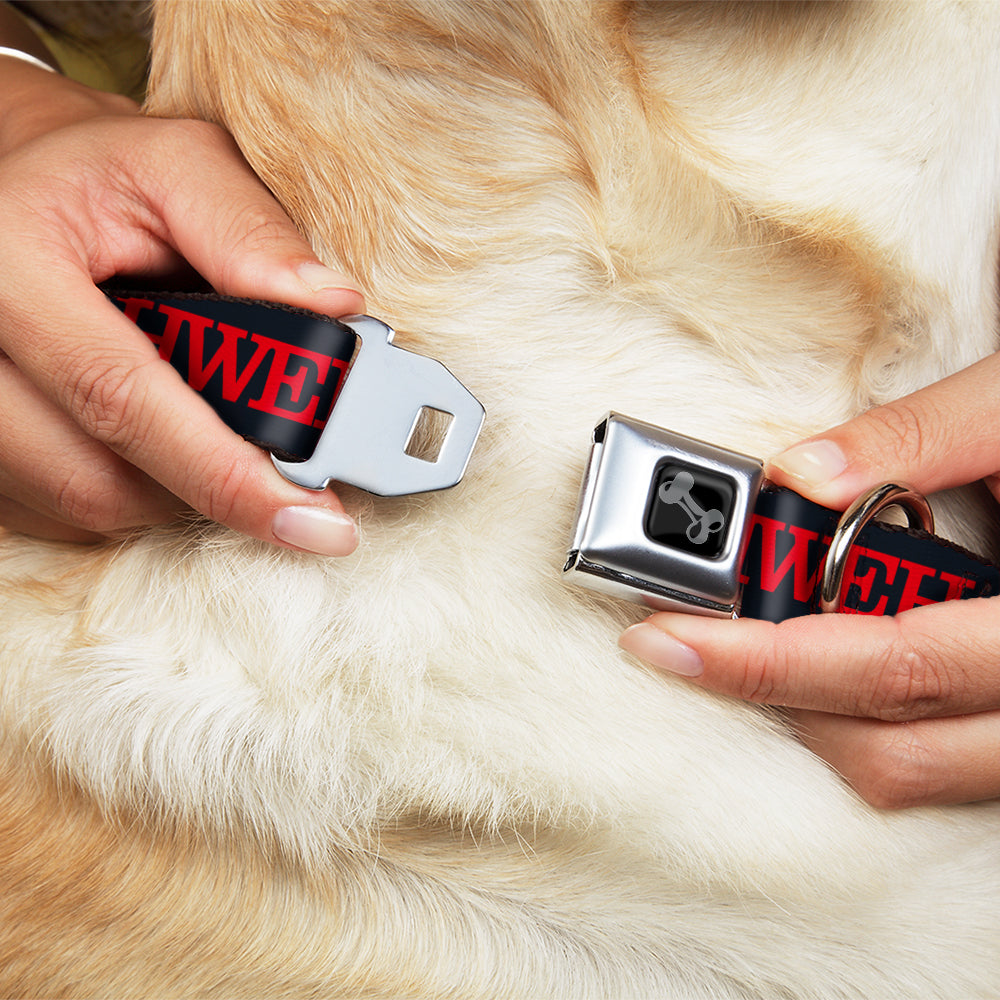 Dog Bone Black/Silver Seatbelt Buckle Collar - YAHWEH Text Navy Blue/Red
