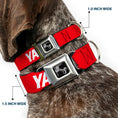 Load image into Gallery viewer, Dog Bone Black/Silver Seatbelt Buckle Collar - YAHWEH Text Red/White
