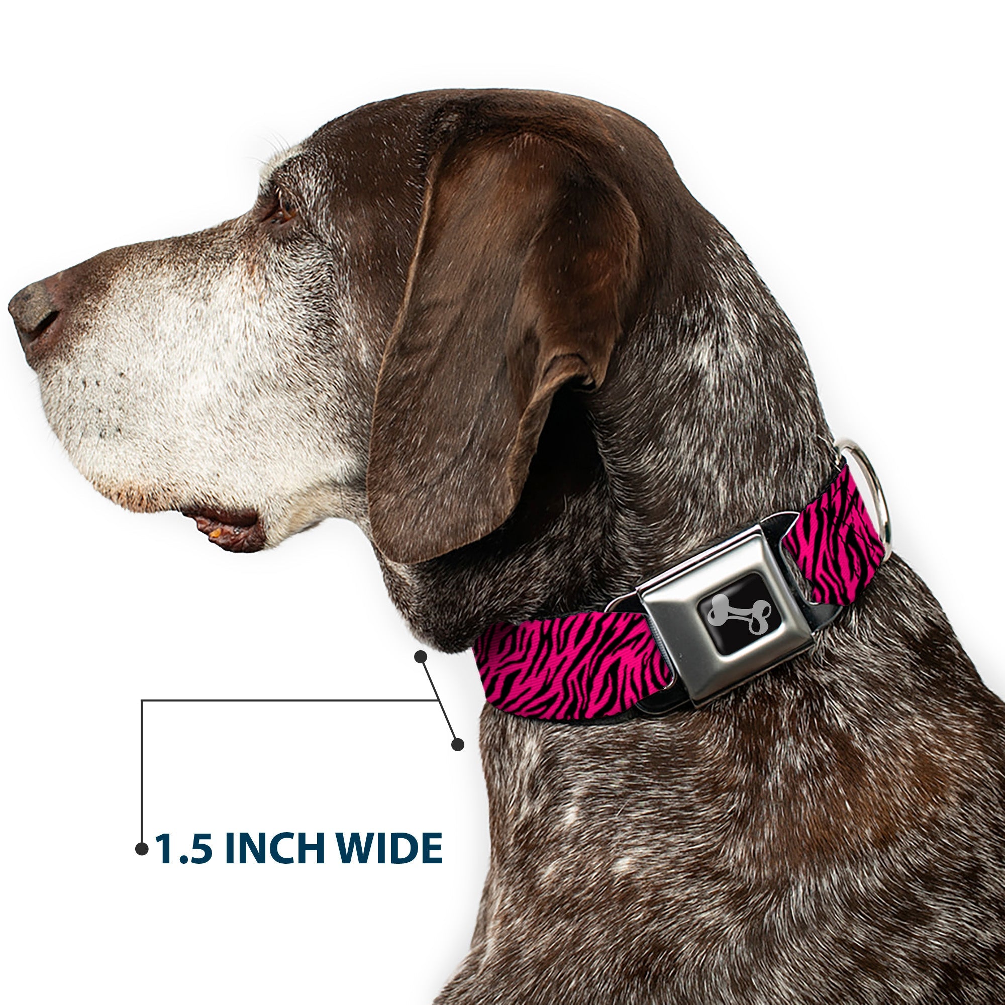 Dog Bone Seatbelt Buckle Collar - Zebra 2 Fuchsia Pink