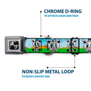 Dog Bone Seatbelt Buckle Collar - Zebra Cartoon