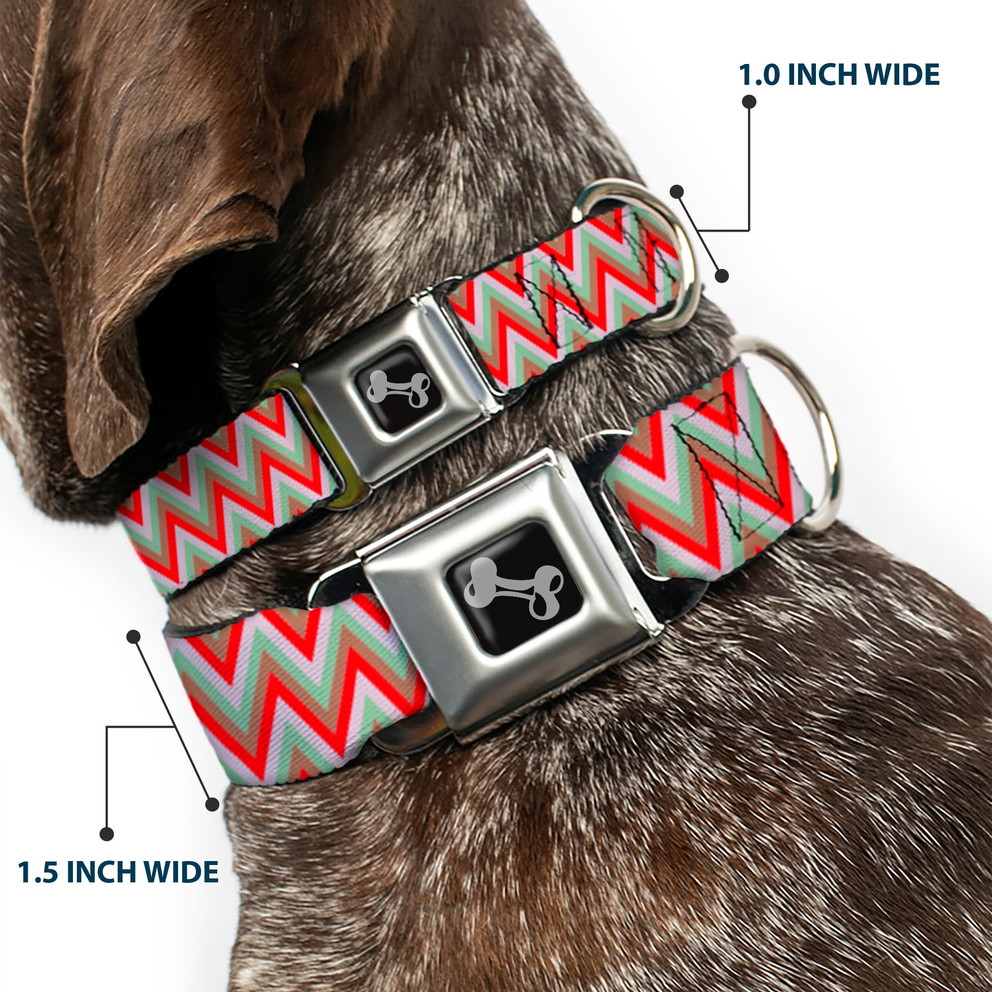 Dog Bone Seatbelt Buckle Collar - Zig Zag White/Tan/Gray/Red