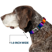 Dog Bone Seatbelt Buckle Collar - Zarape3 Vertical Multi Color Fade